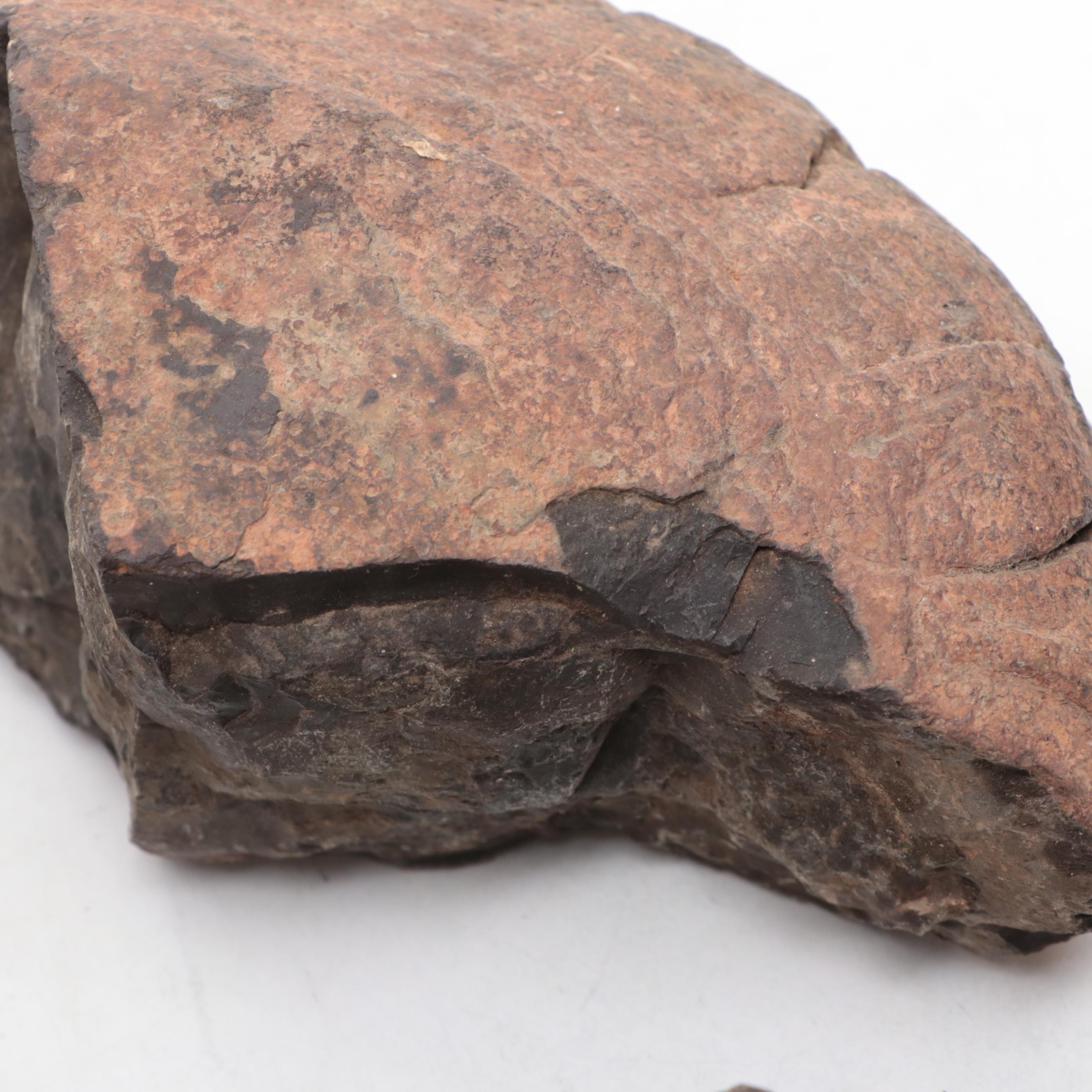 Pseudofossil Concretion