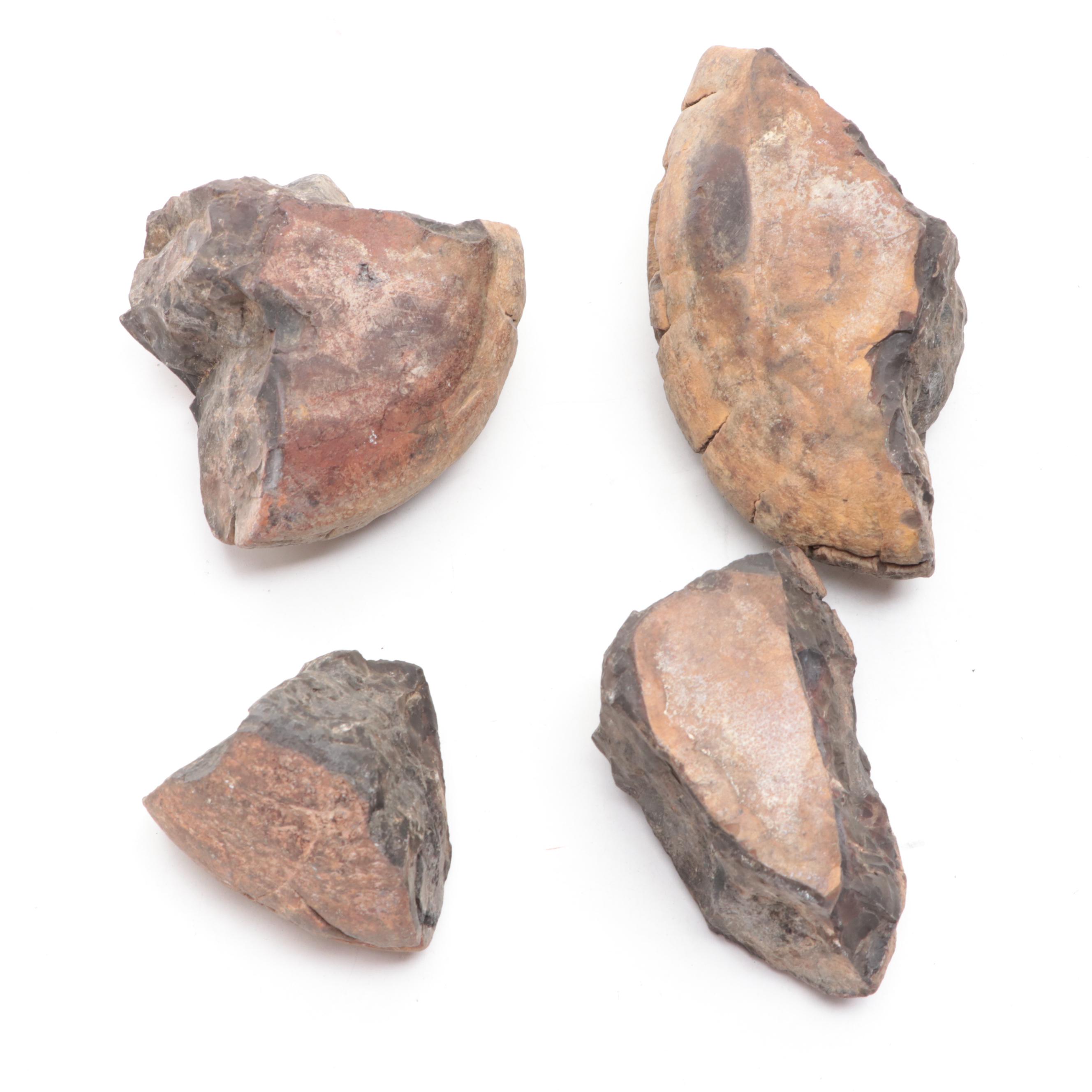 Pseudofossil Concretion