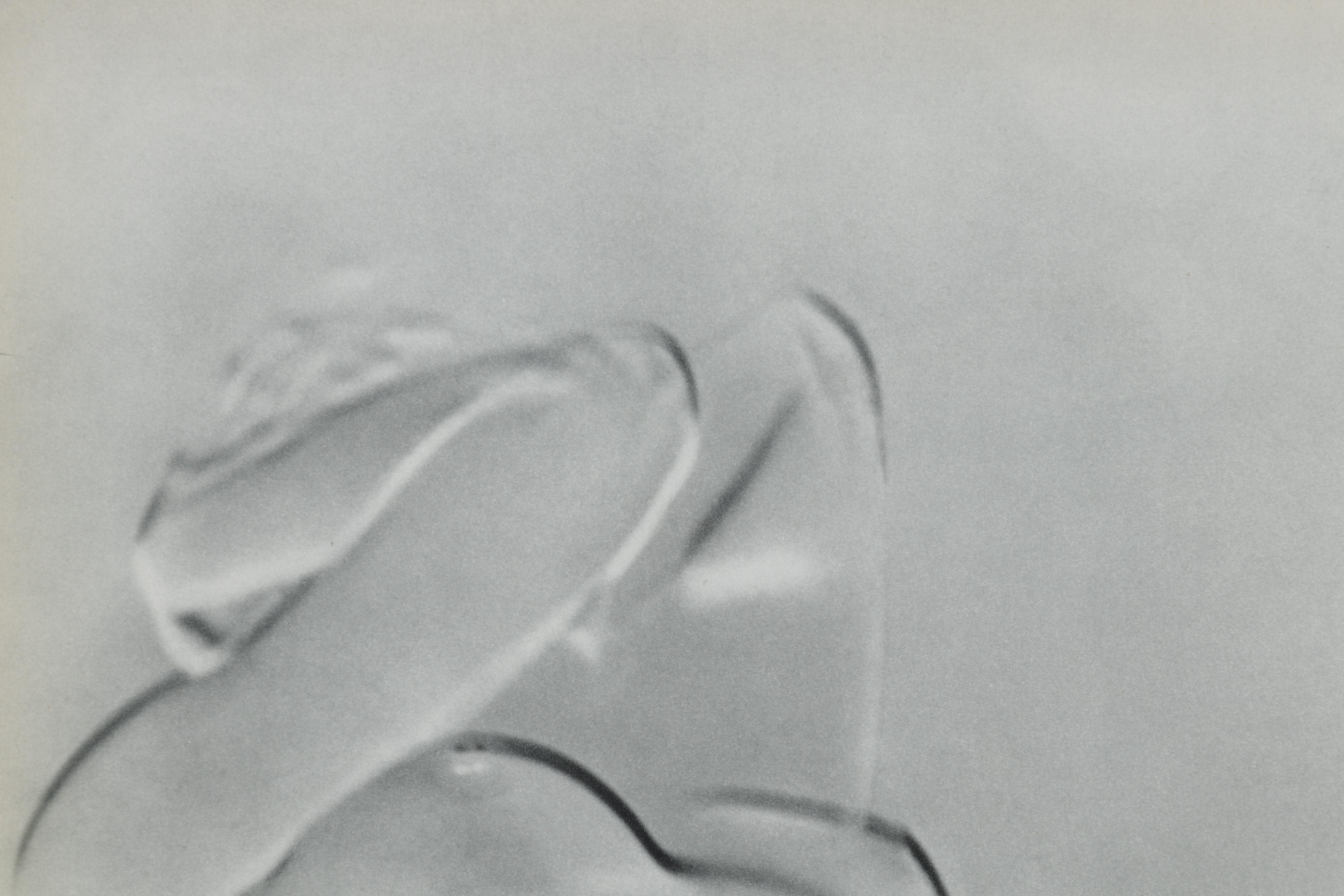 Heinz Hajek-Halke Rotogravure From "Le Nu International," 1954