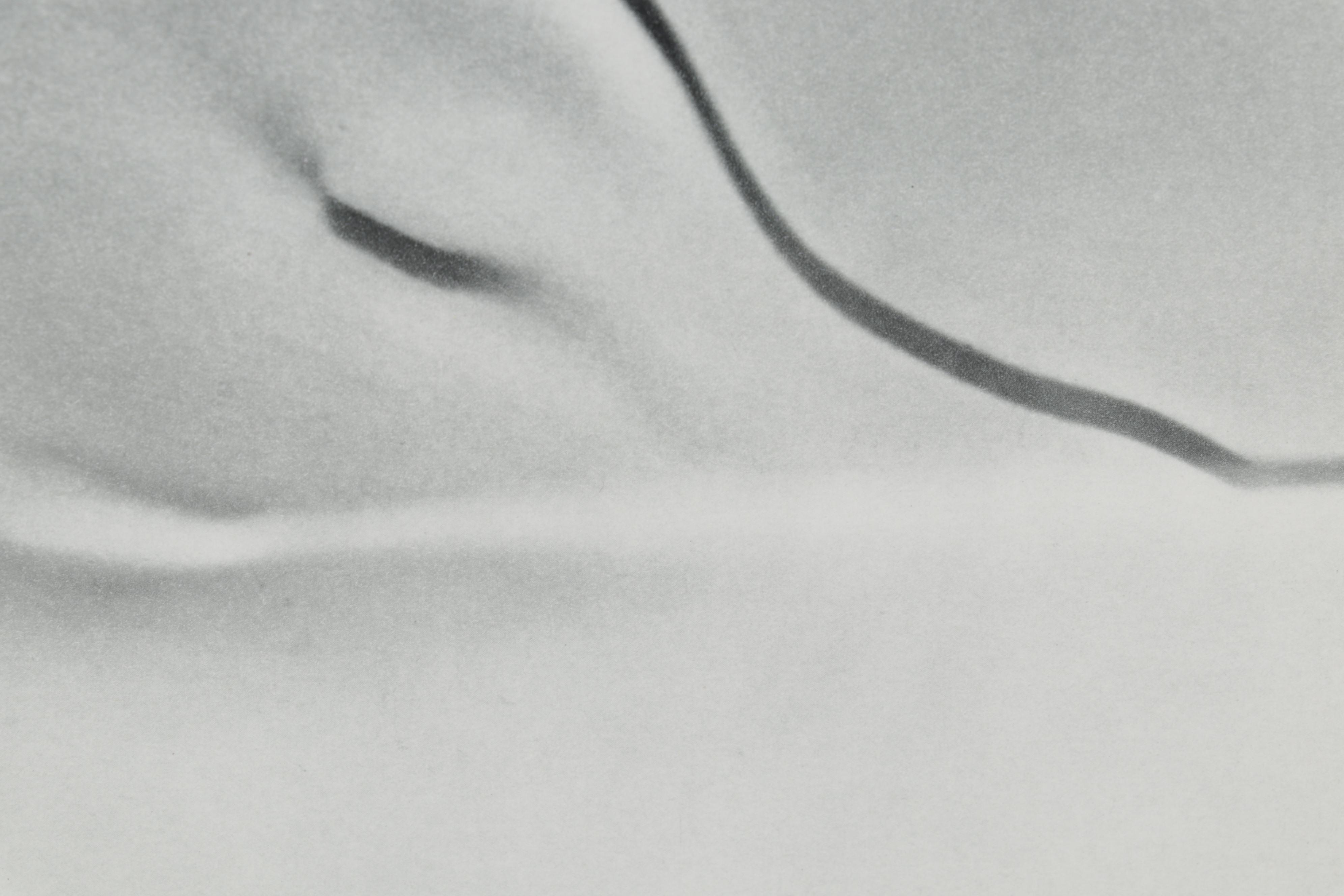 Heinz Hajek-Halke Rotogravure From "Le Nu International," 1954