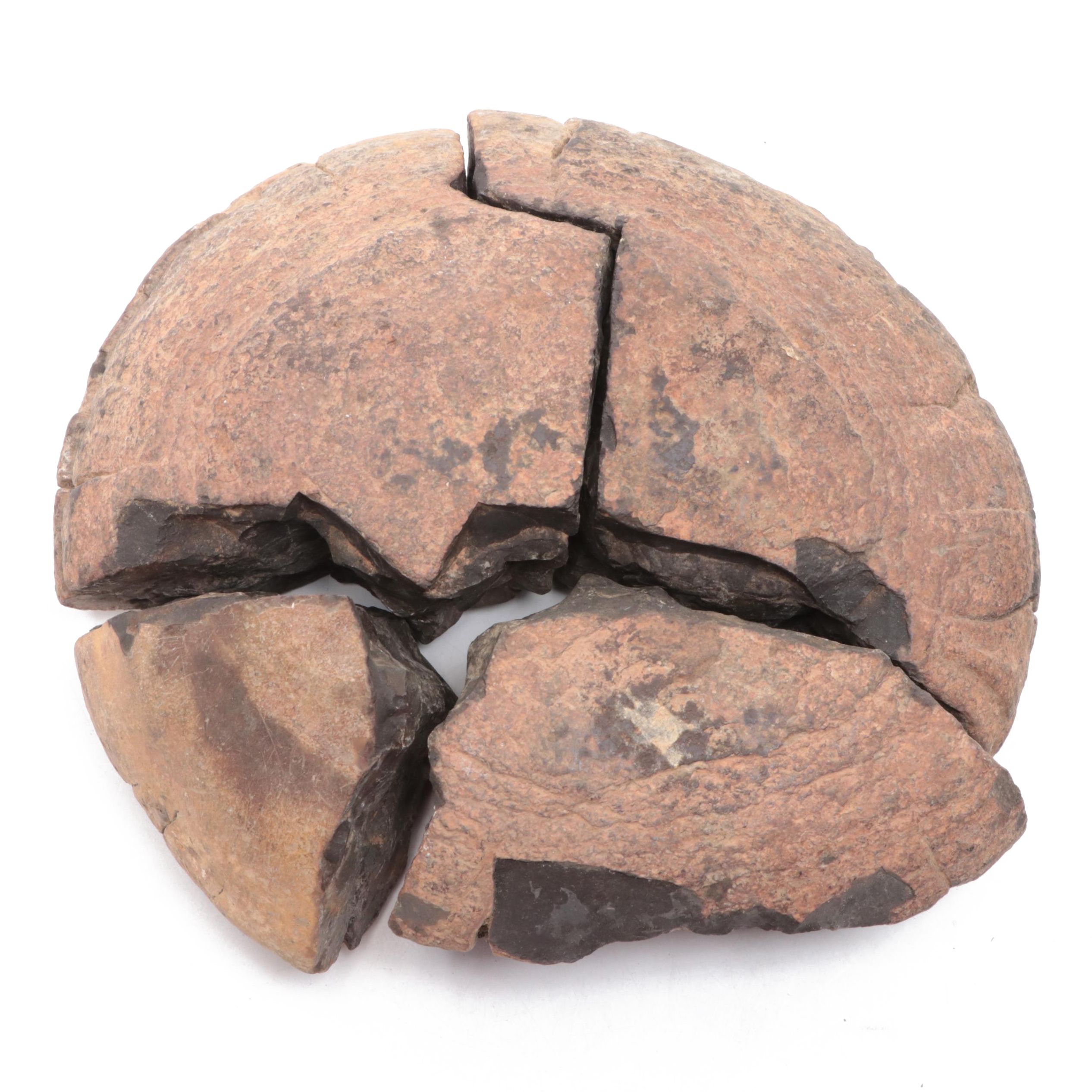 Pseudofossil Concretion