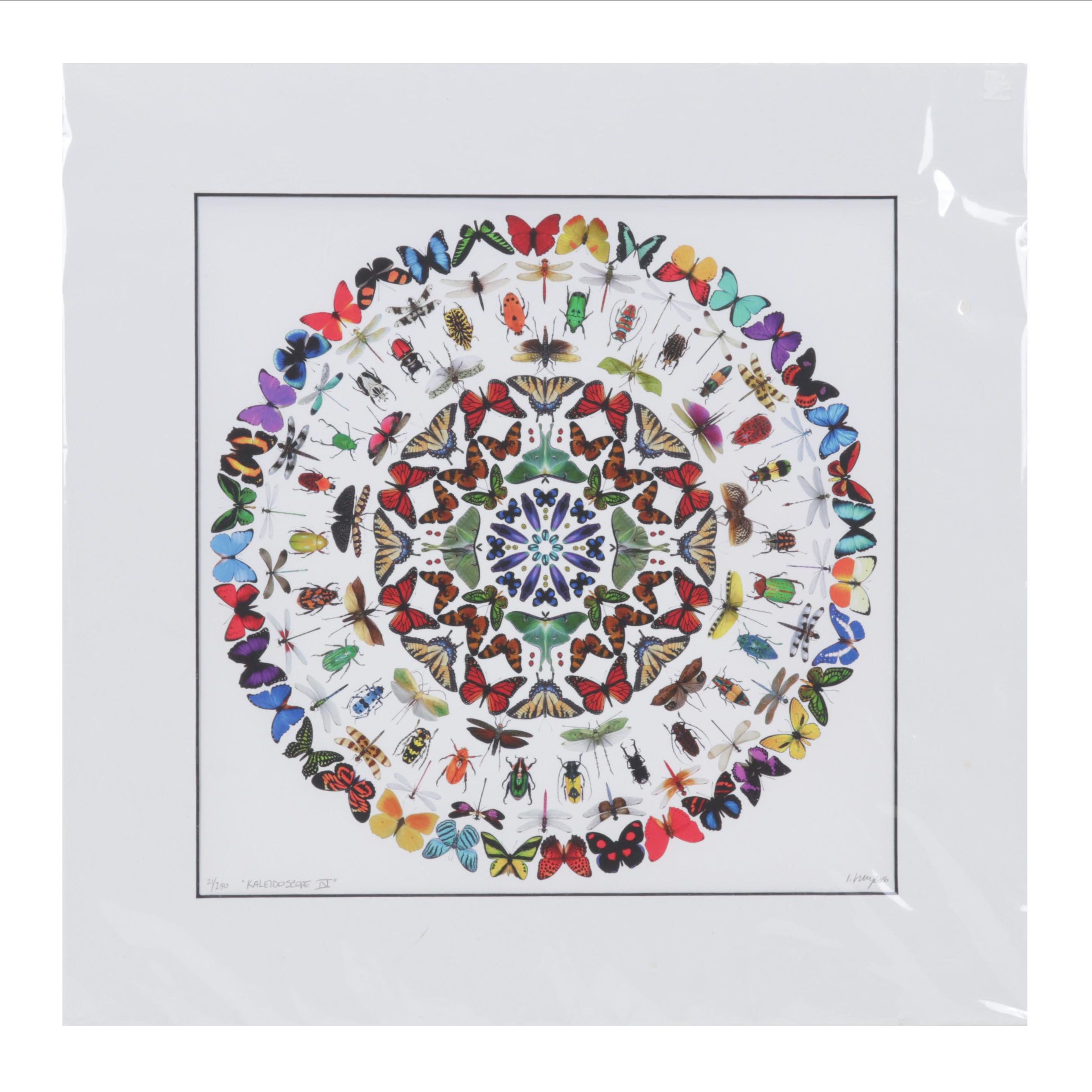Jennifer Ivory Giclée "Kaleidoscope IV," 2016