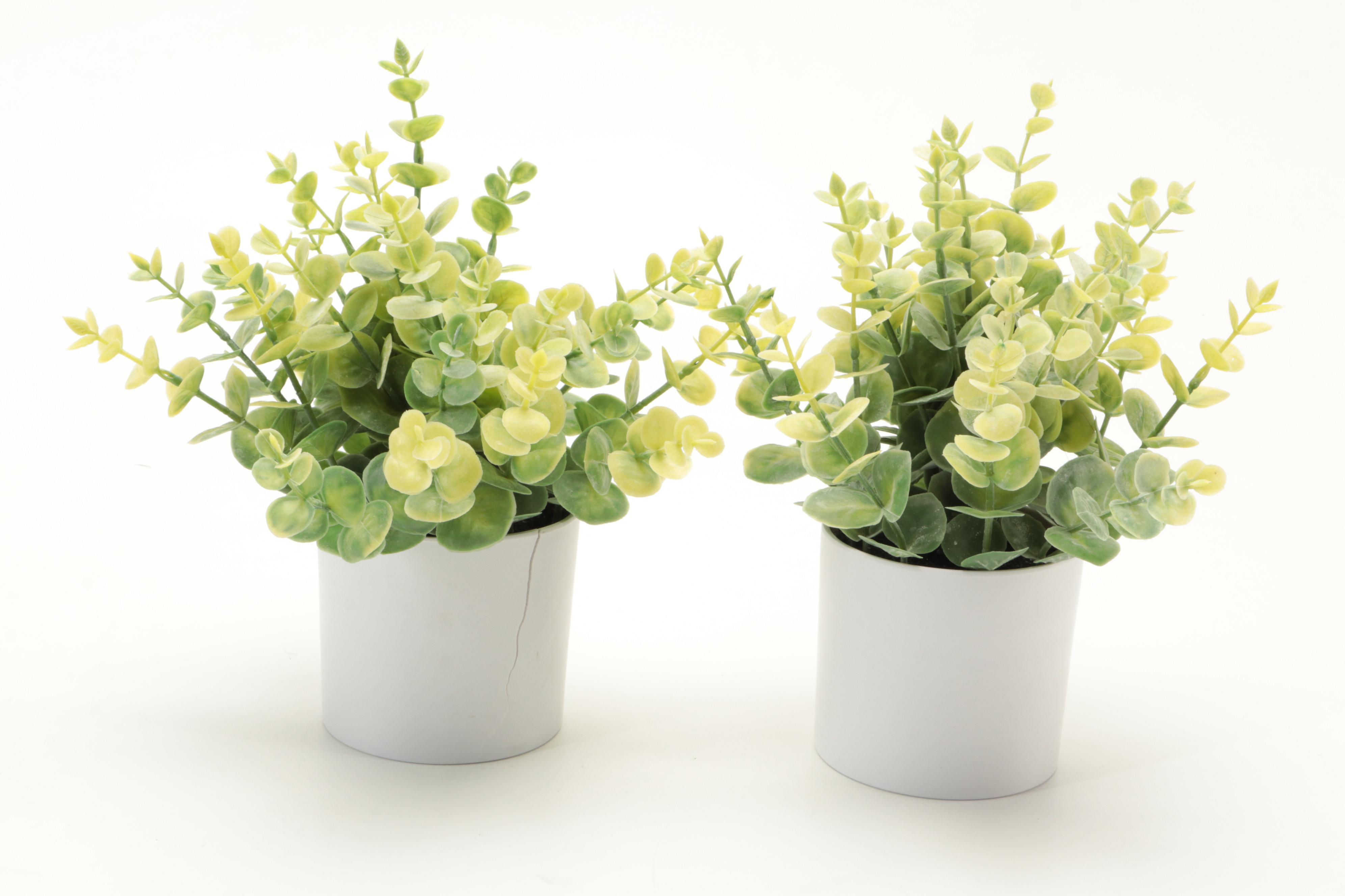 Threshold and Other Potted Faux Succulent Plants