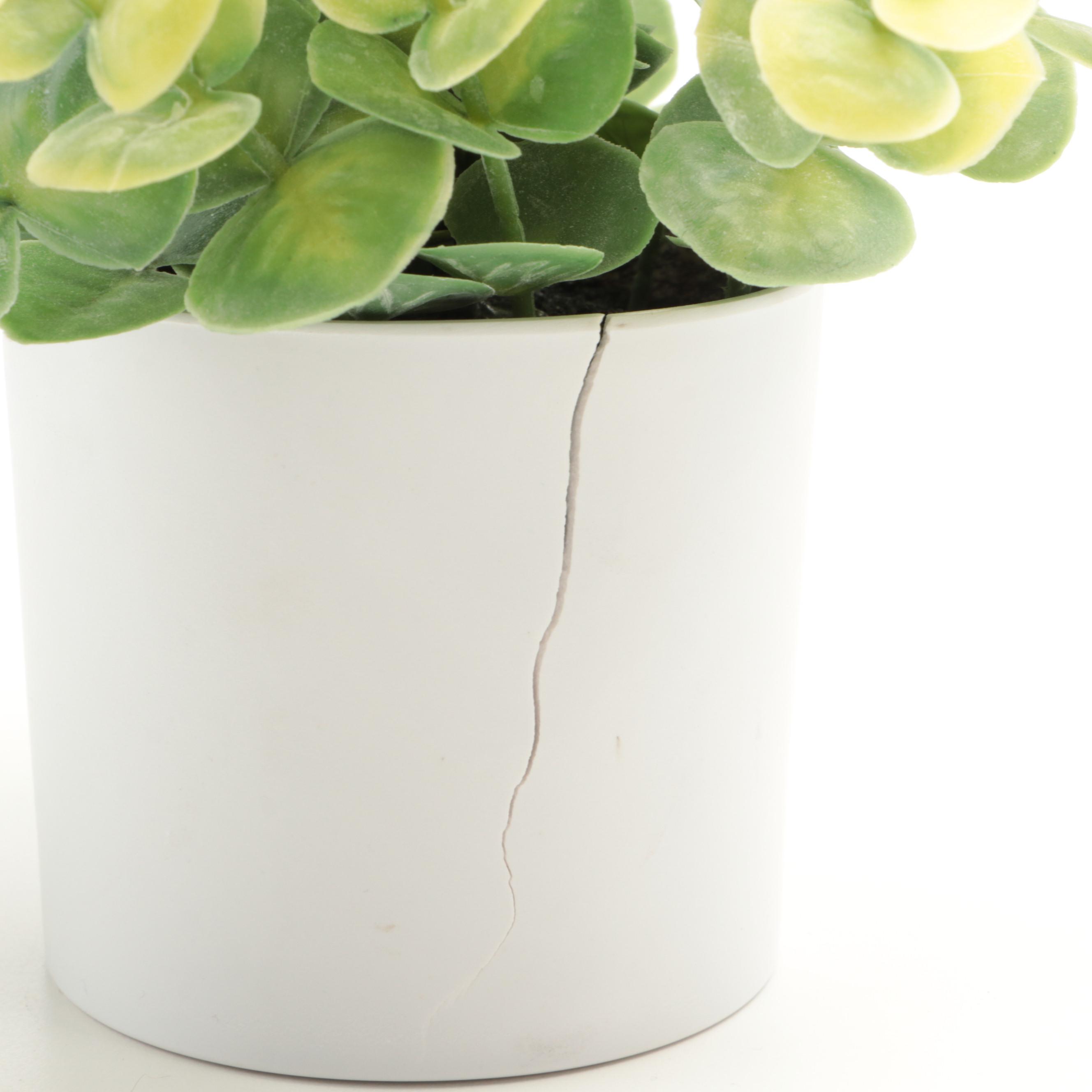 Threshold and Other Potted Faux Succulent Plants