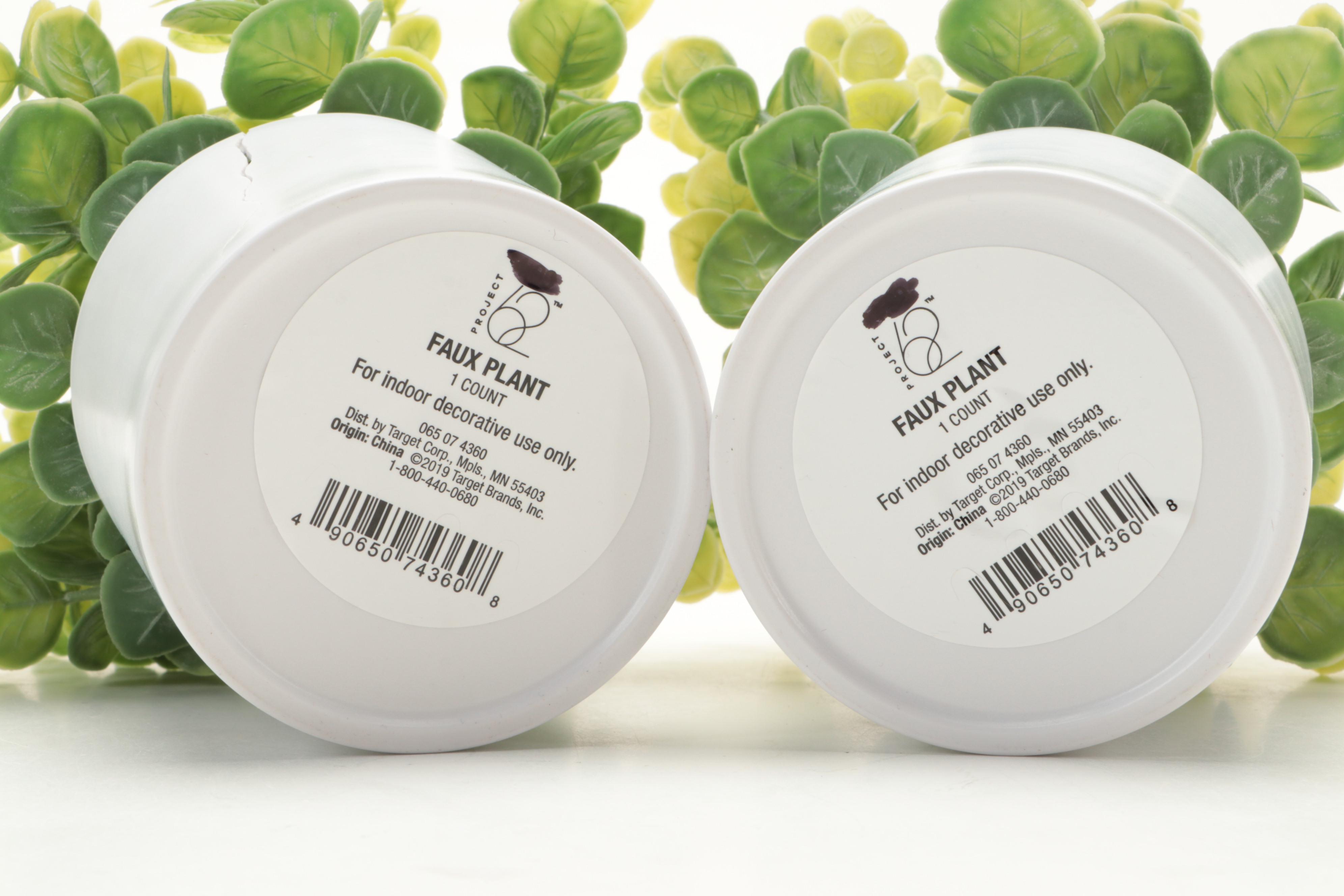 Threshold and Other Potted Faux Succulent Plants