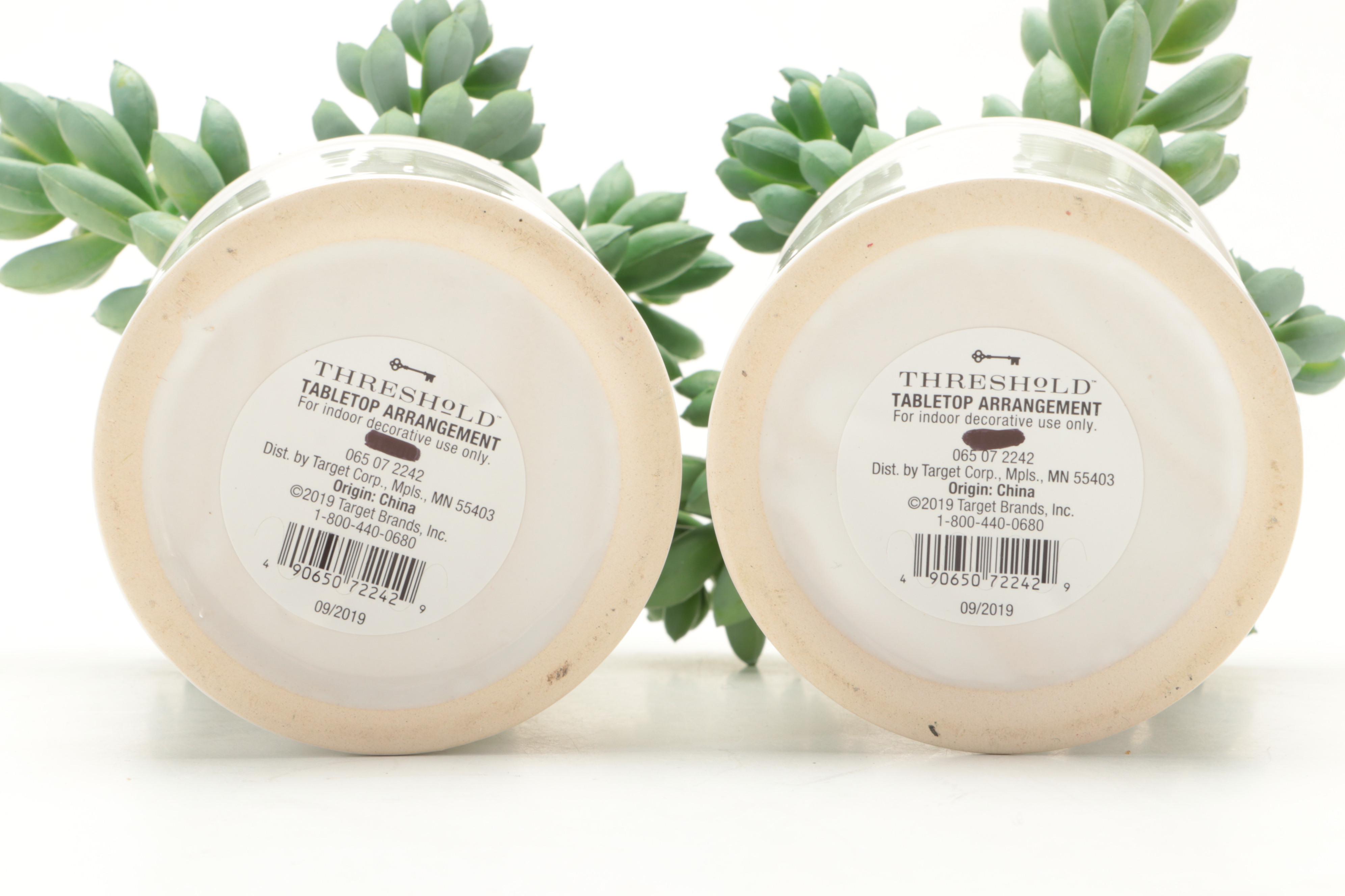 Threshold and Other Potted Faux Succulent Plants