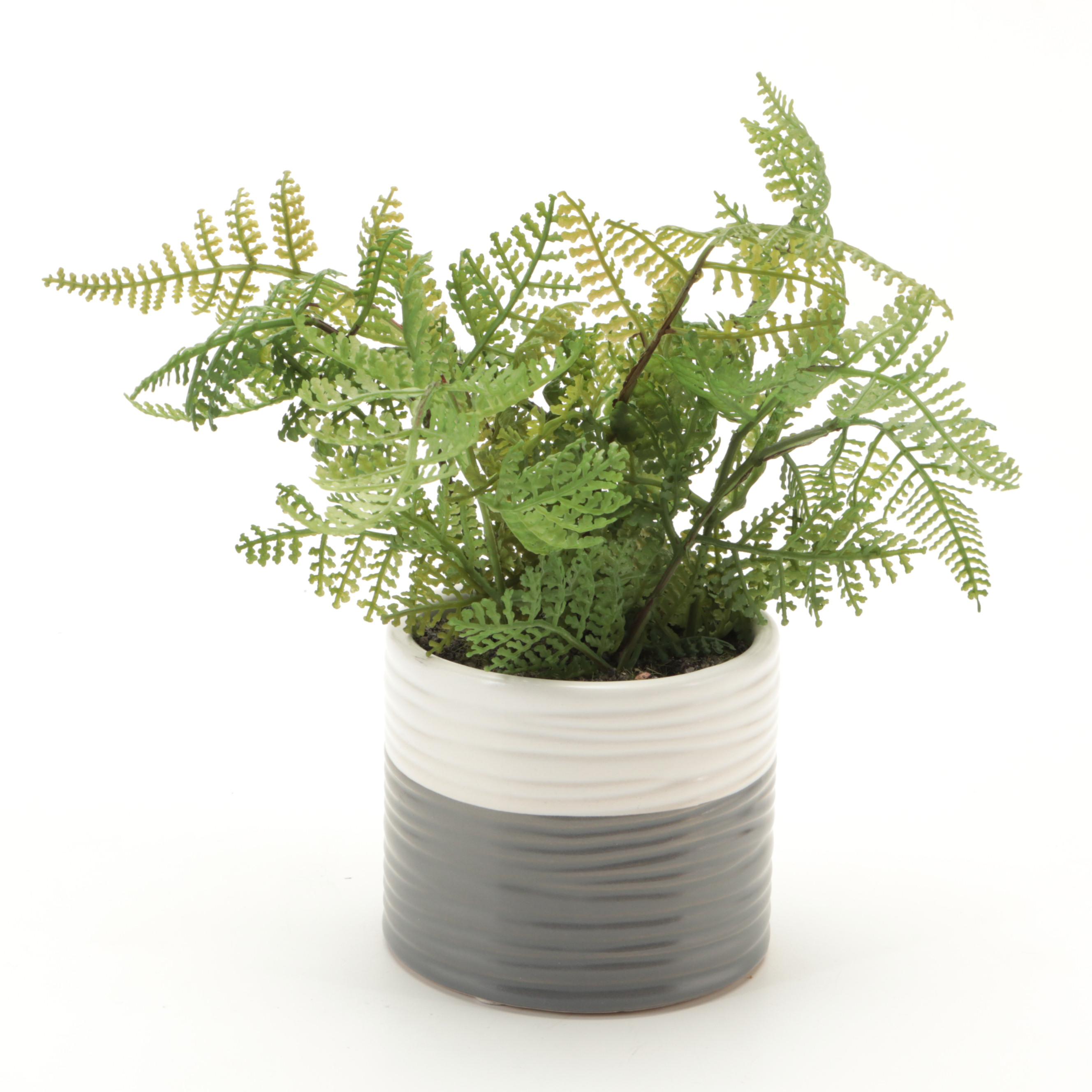 Threshold and Other Potted Faux Succulent Plants