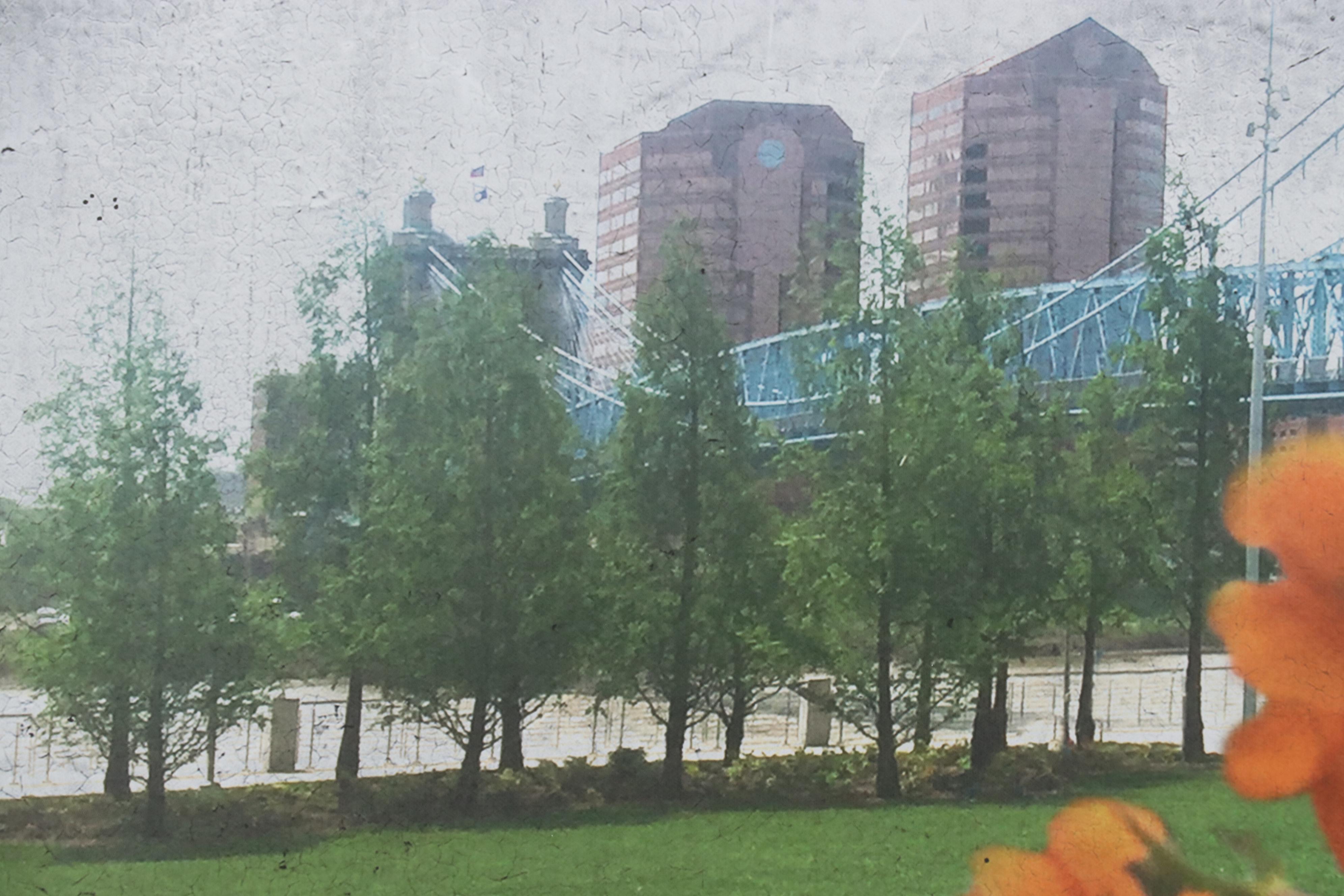 Giclée of Landscape With Roebling Bridge, 2017