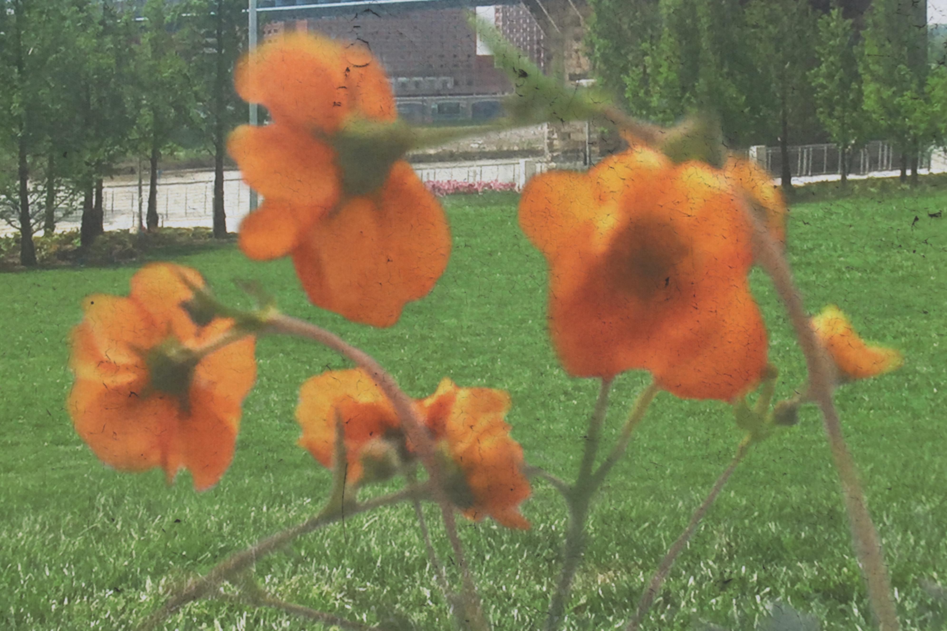 Giclée of Landscape With Roebling Bridge, 2017