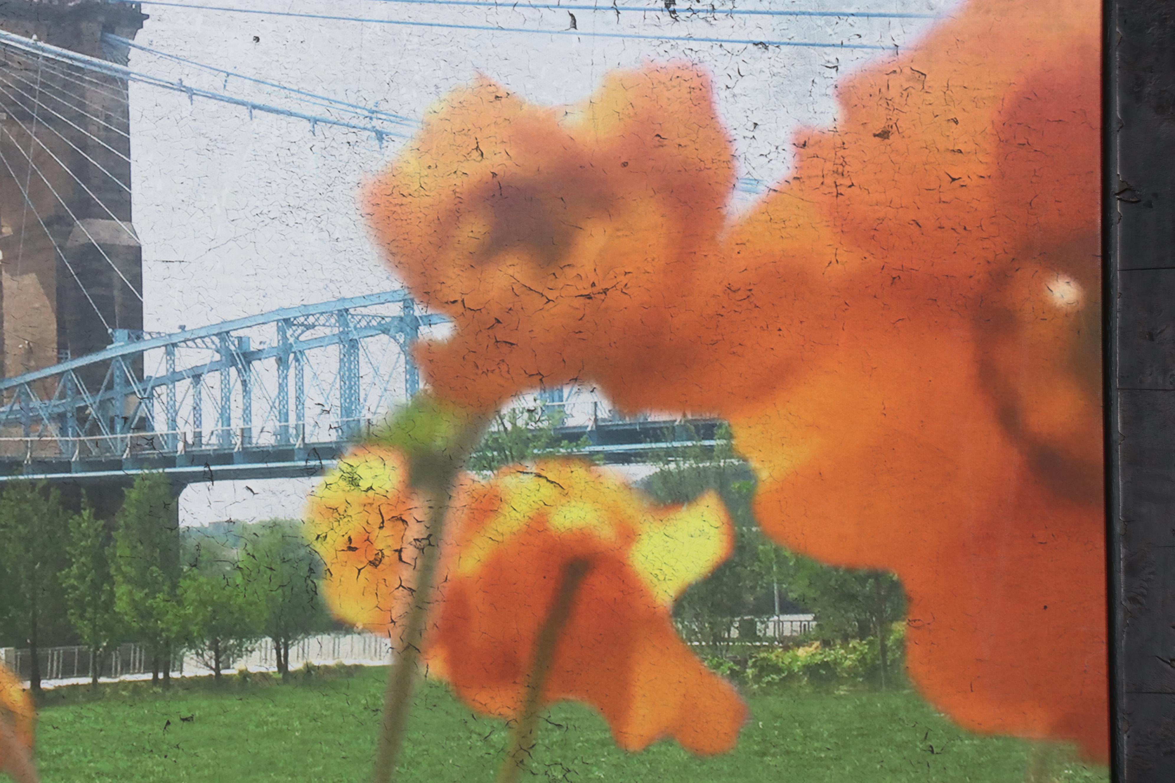 Giclée of Landscape With Roebling Bridge, 2017