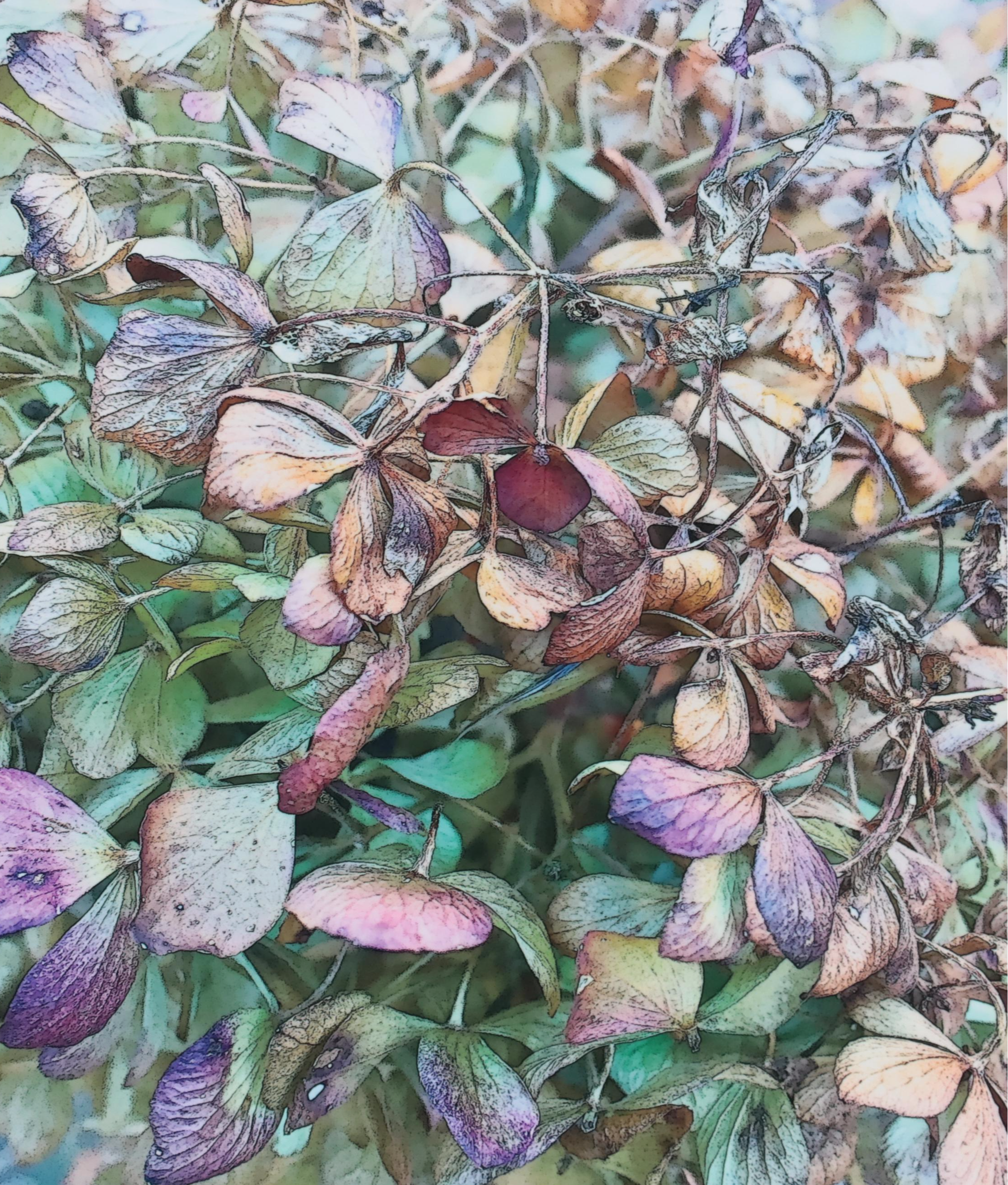 Marc Wavra Digital Photograph on Metal, 2016