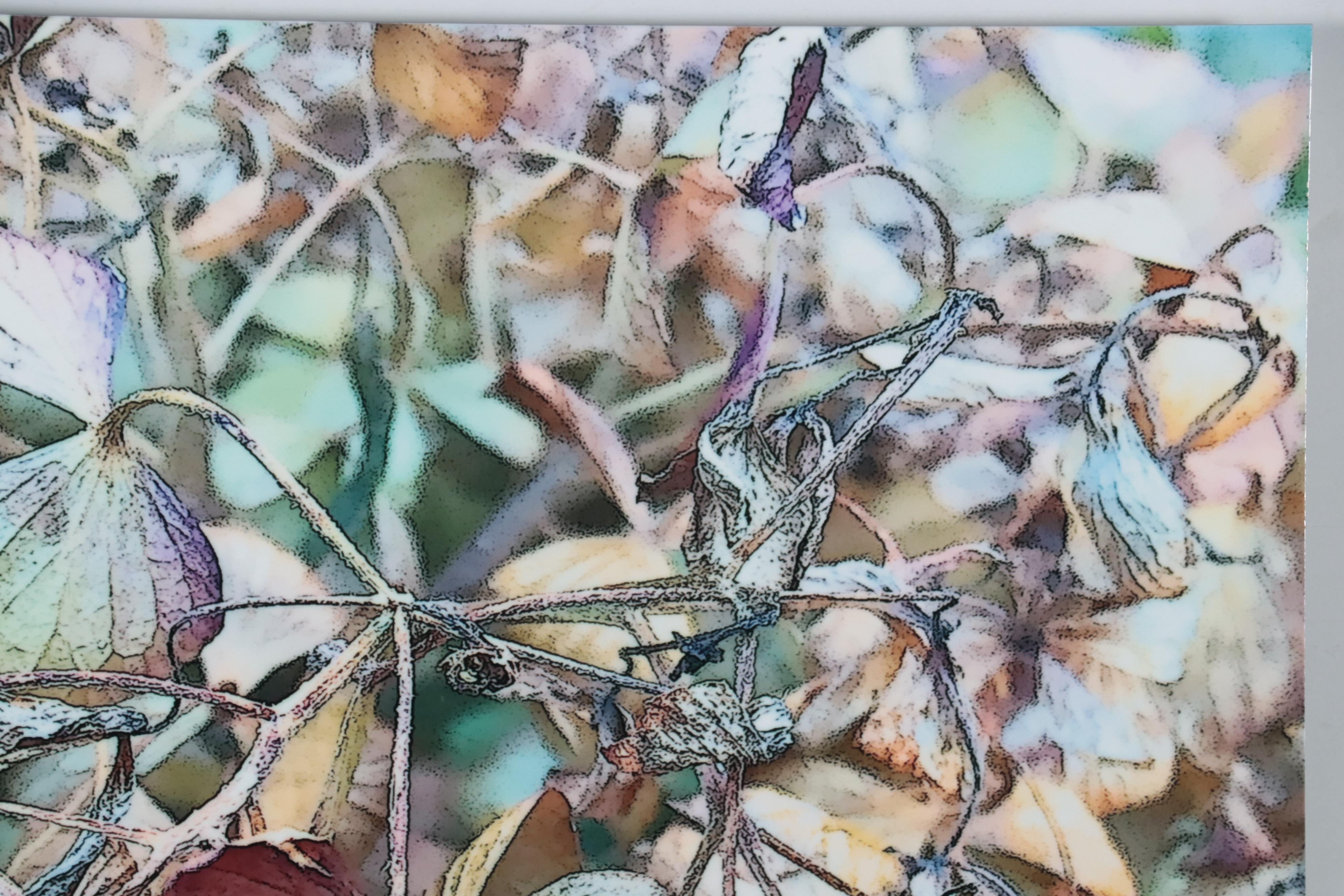 Marc Wavra Digital Photograph on Metal, 2016