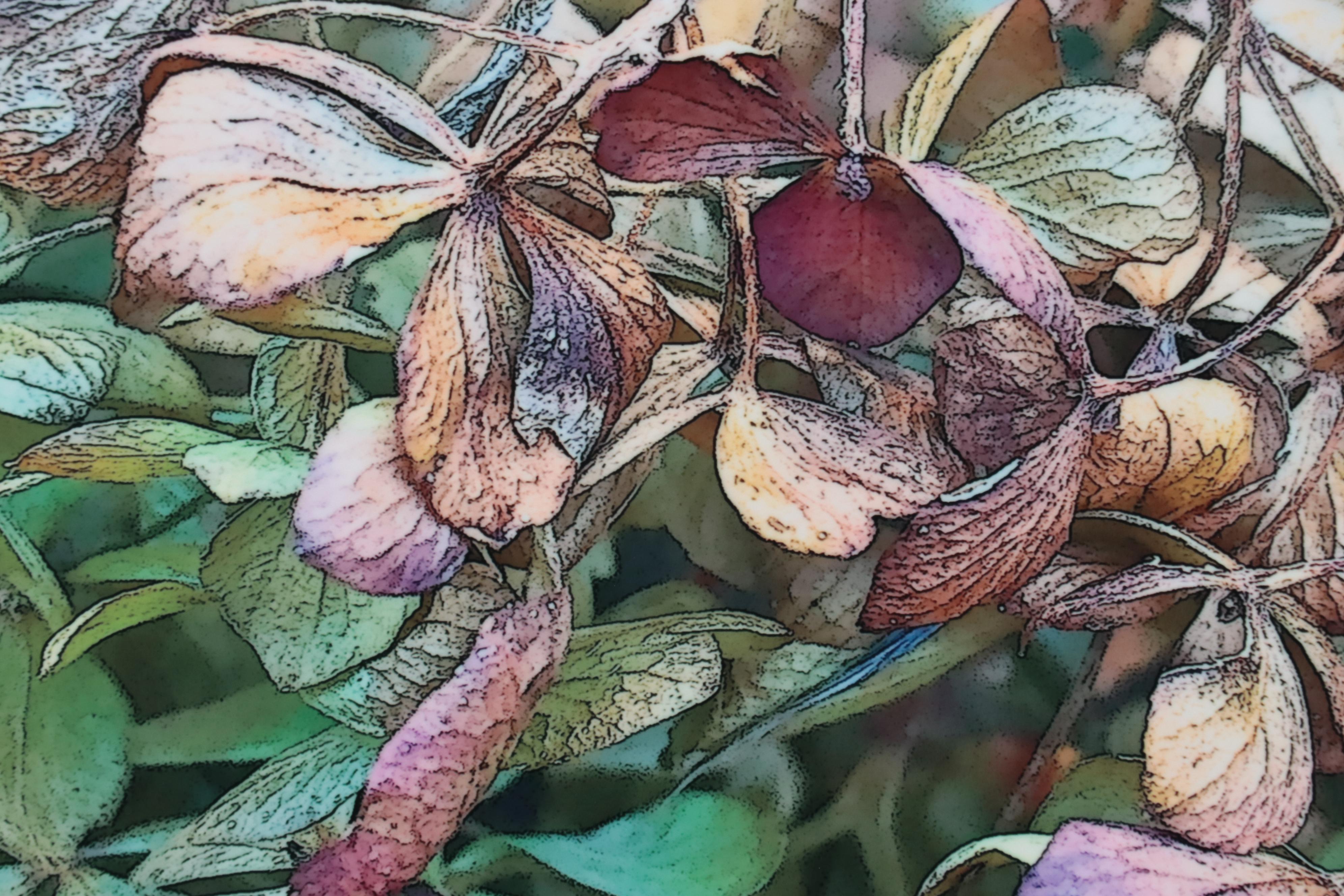 Marc Wavra Digital Photograph on Metal, 2016