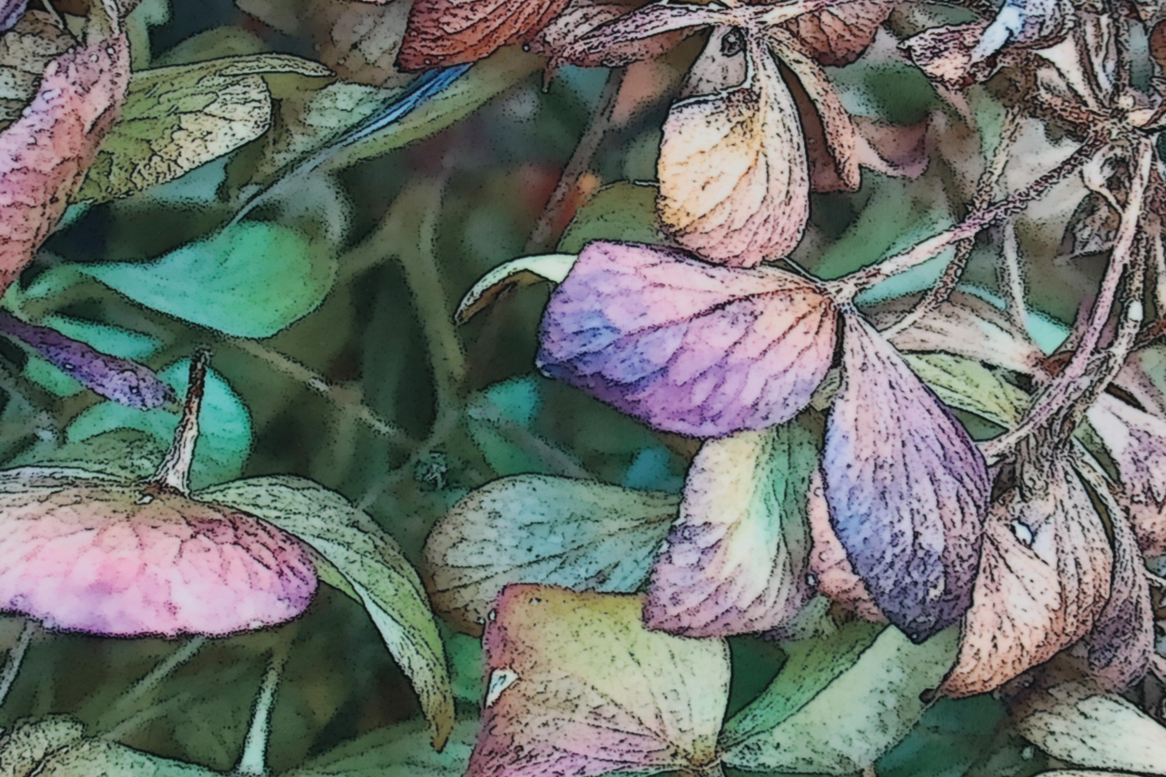 Marc Wavra Digital Photograph on Metal, 2016