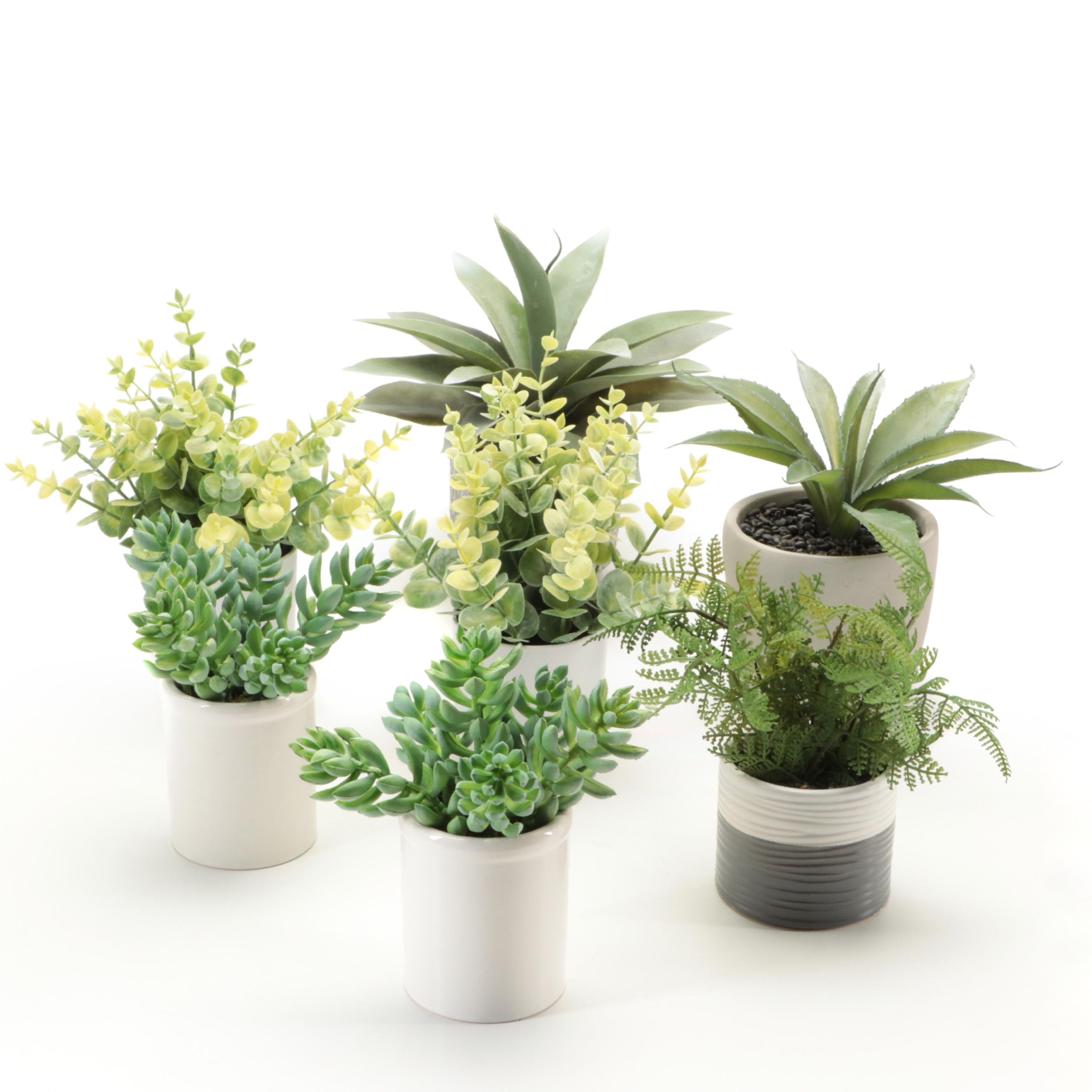 Threshold and Other Potted Faux Succulent Plants