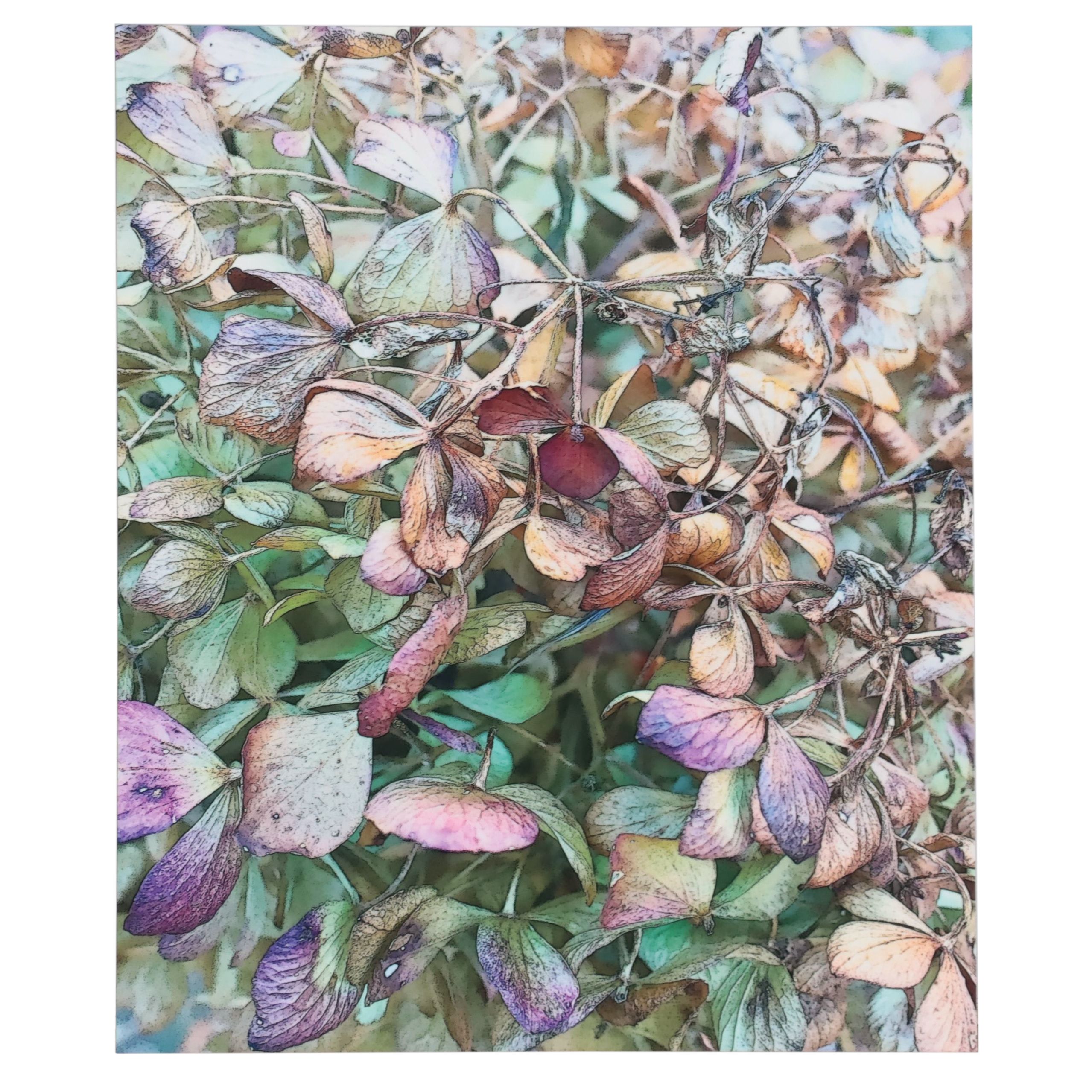 Marc Wavra Digital Photograph on Metal, 2016