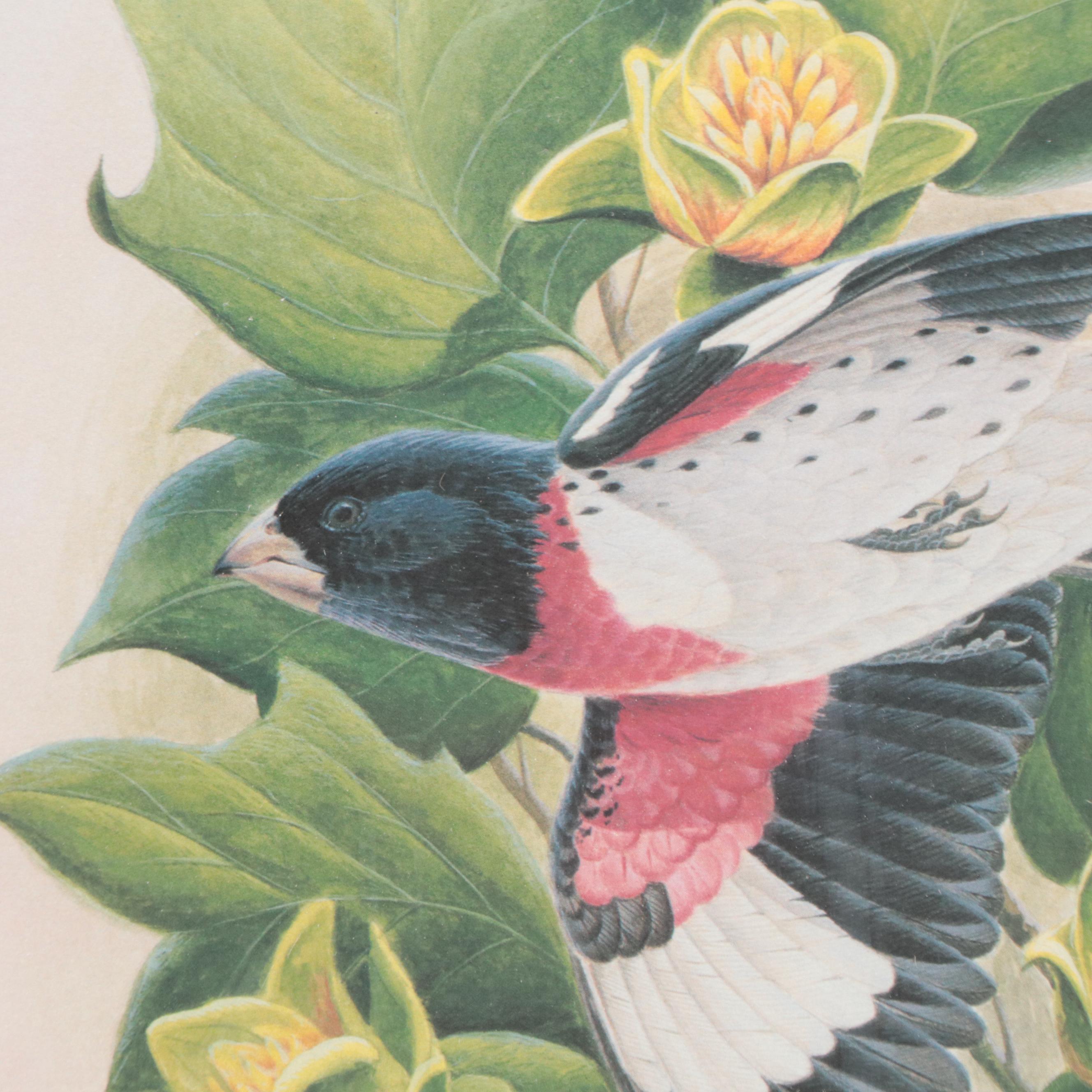 John Ruthven Offset Lithograph "Rose-breasted Grosbeak," Late 20th Century