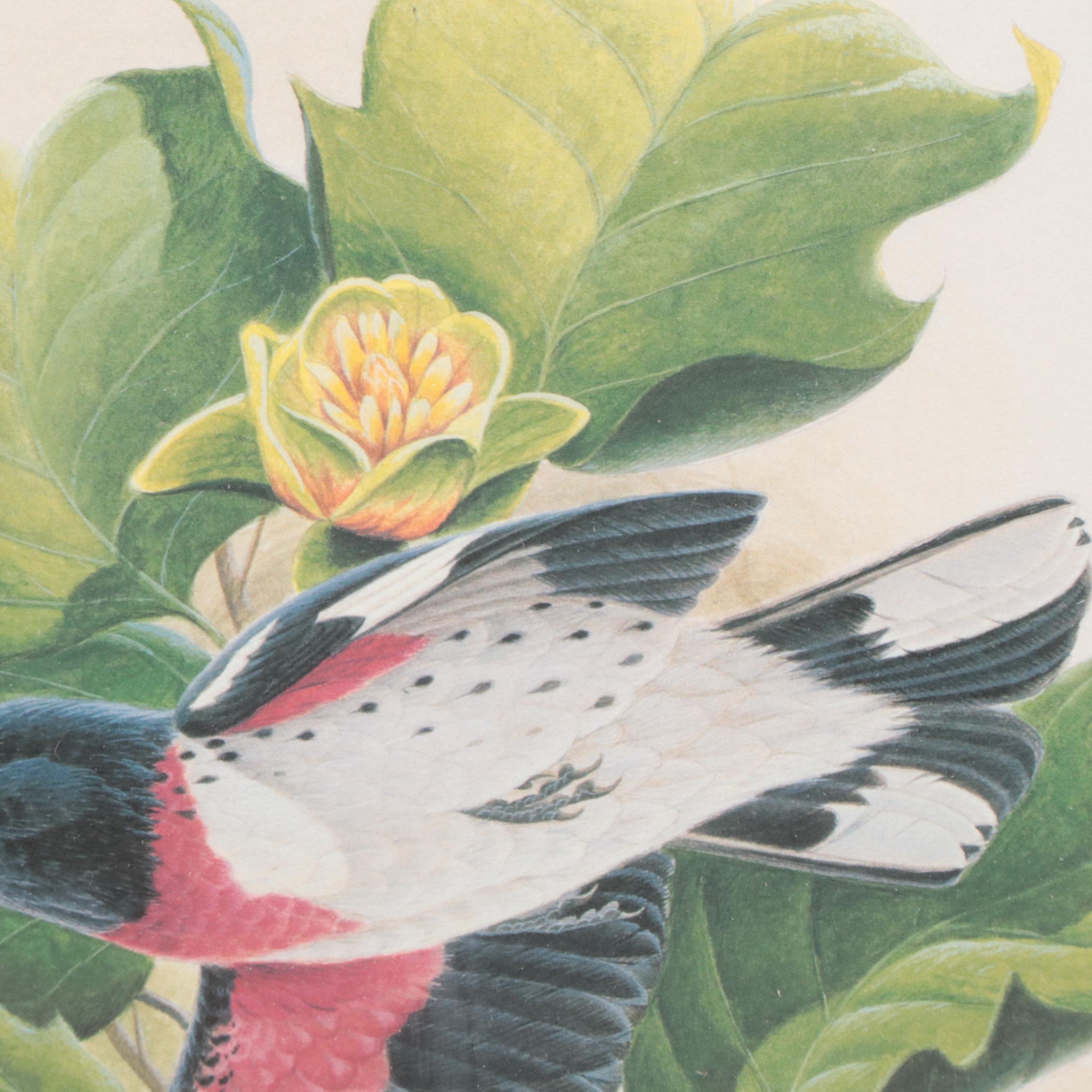 John Ruthven Offset Lithograph "Rose-breasted Grosbeak," Late 20th Century