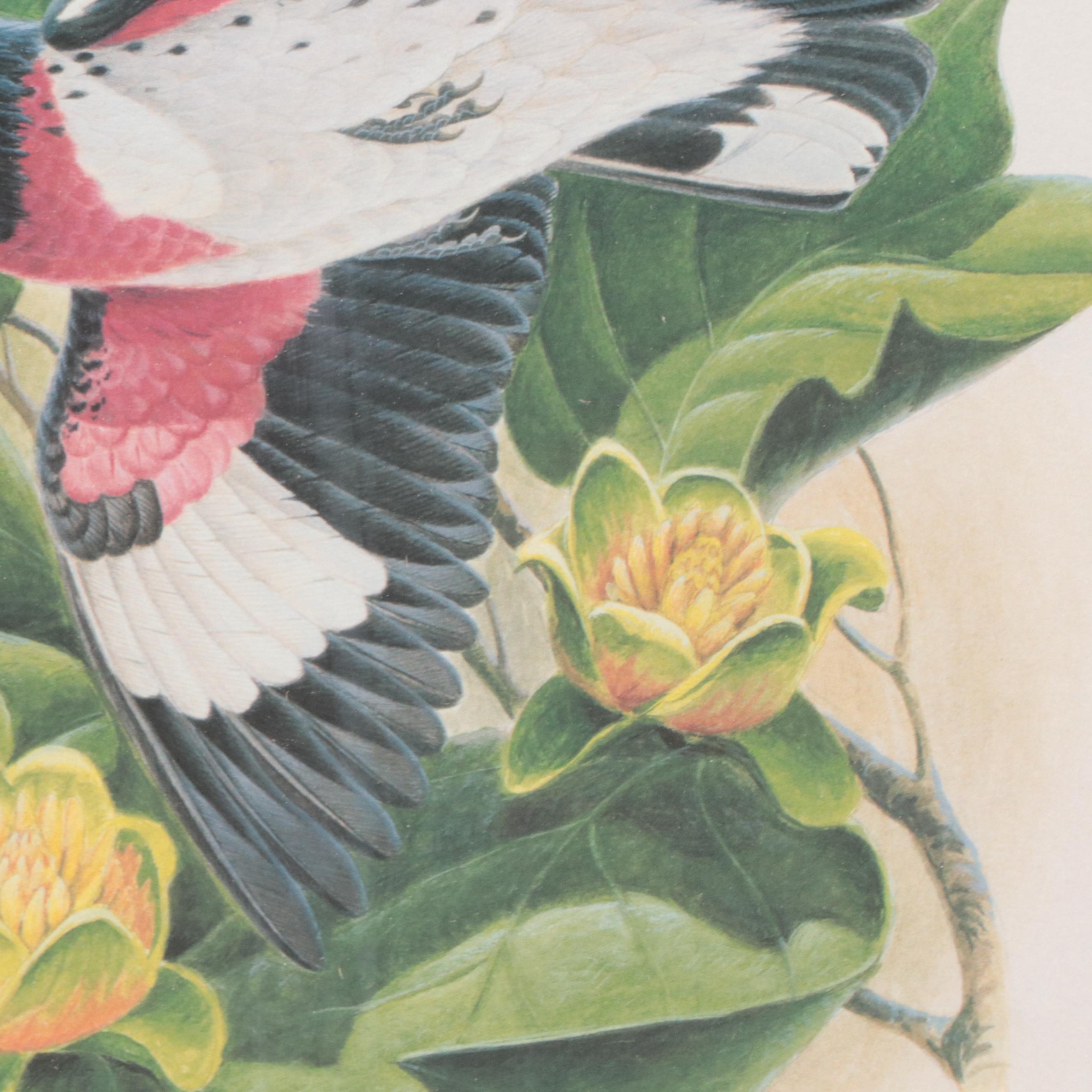 John Ruthven Offset Lithograph "Rose-breasted Grosbeak," Late 20th Century