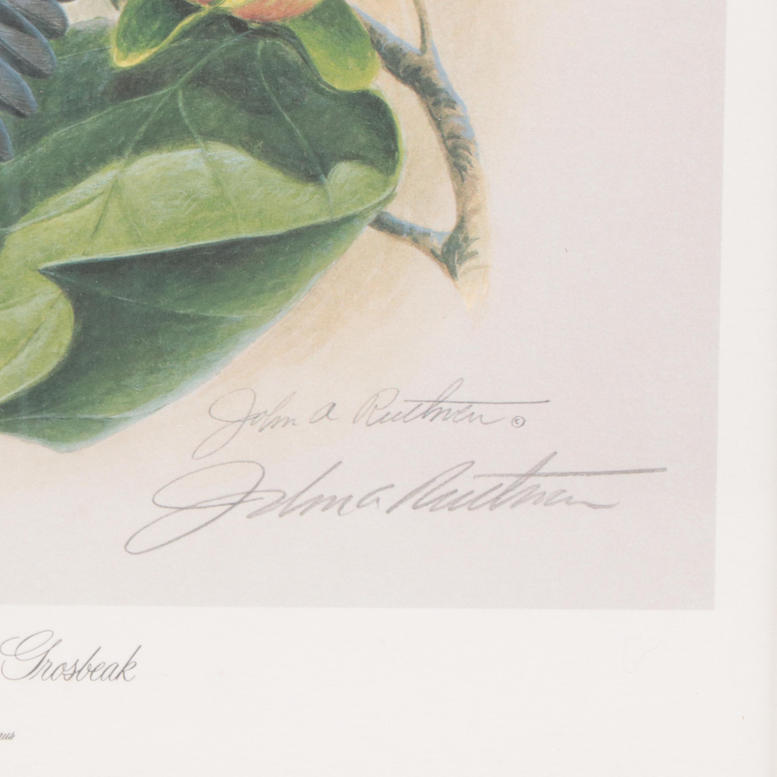 John Ruthven Offset Lithograph "Rose-breasted Grosbeak," Late 20th Century