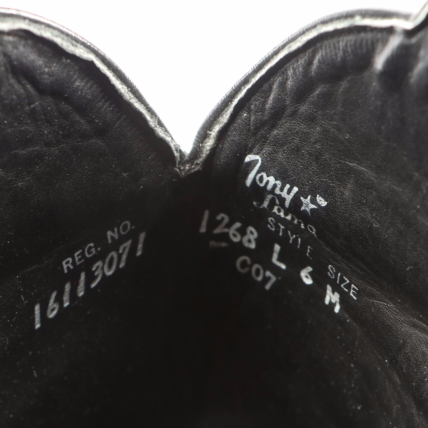 Tony Lama Lizard Skin and Embroidered Leather Western Boots