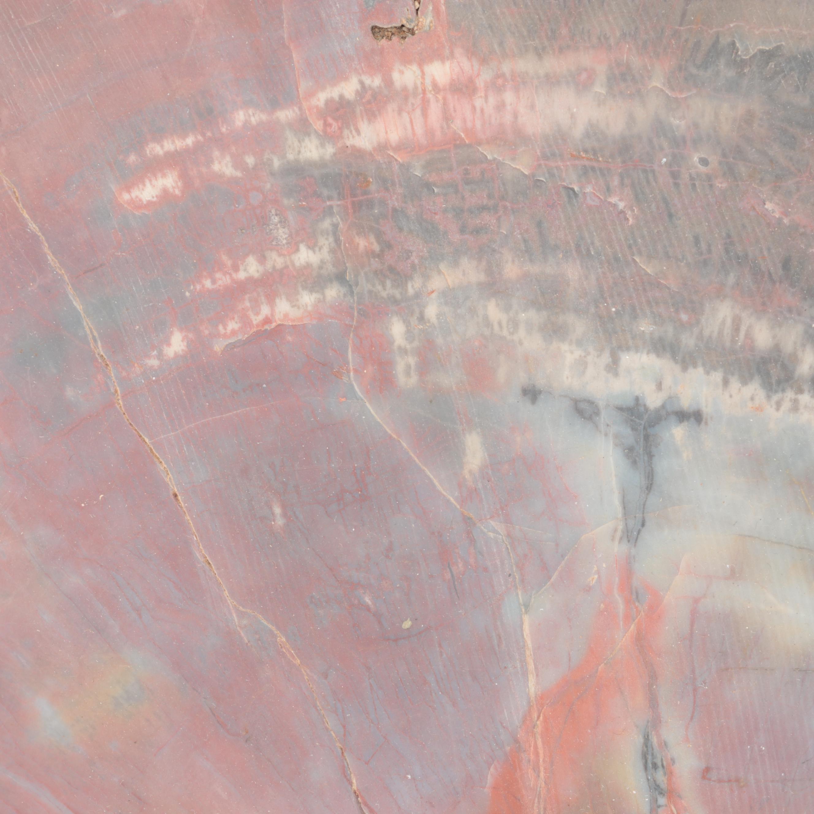 Agatized and Petrified Wood Slab