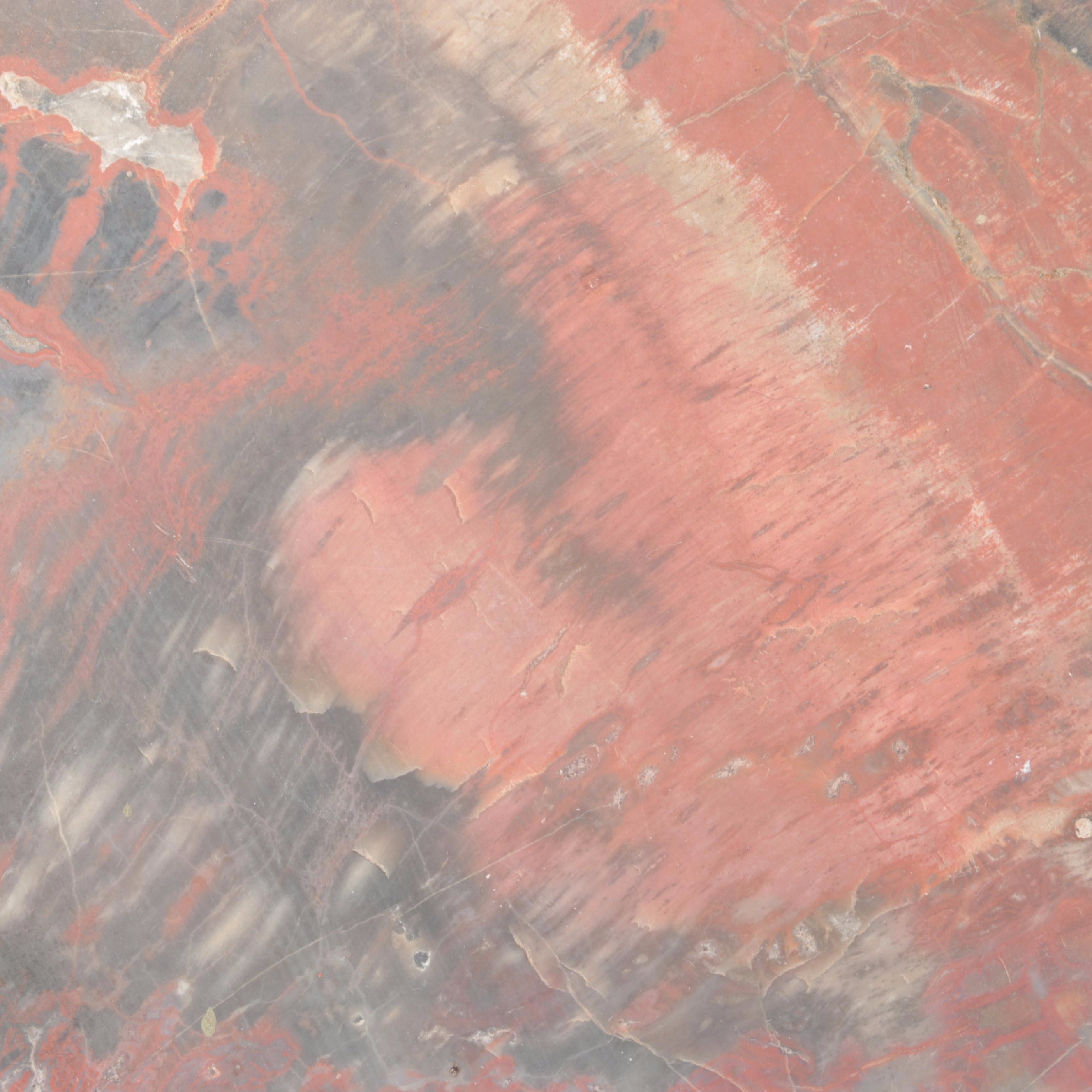 Agatized and Petrified Wood Slab