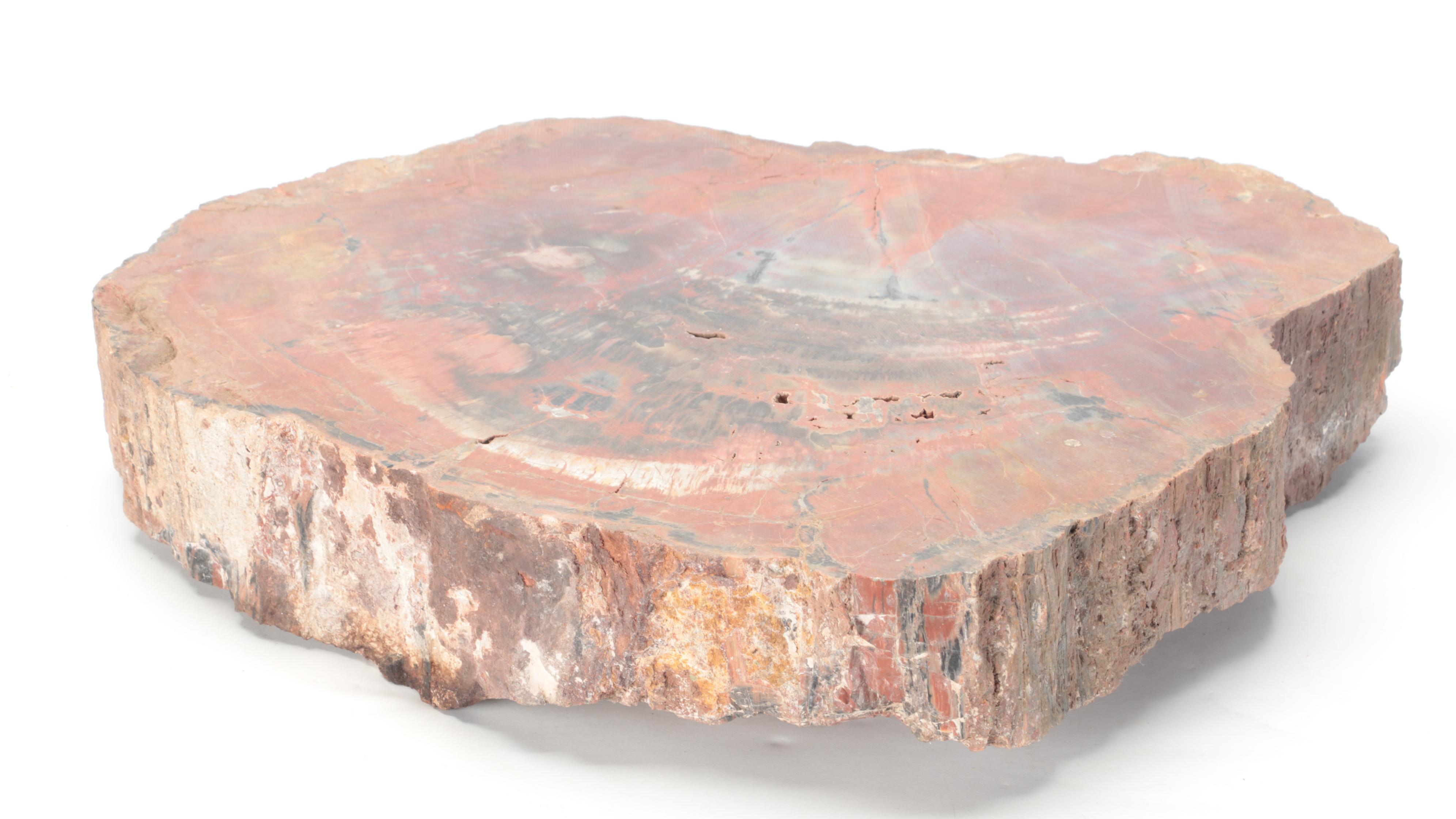 Agatized and Petrified Wood Slab