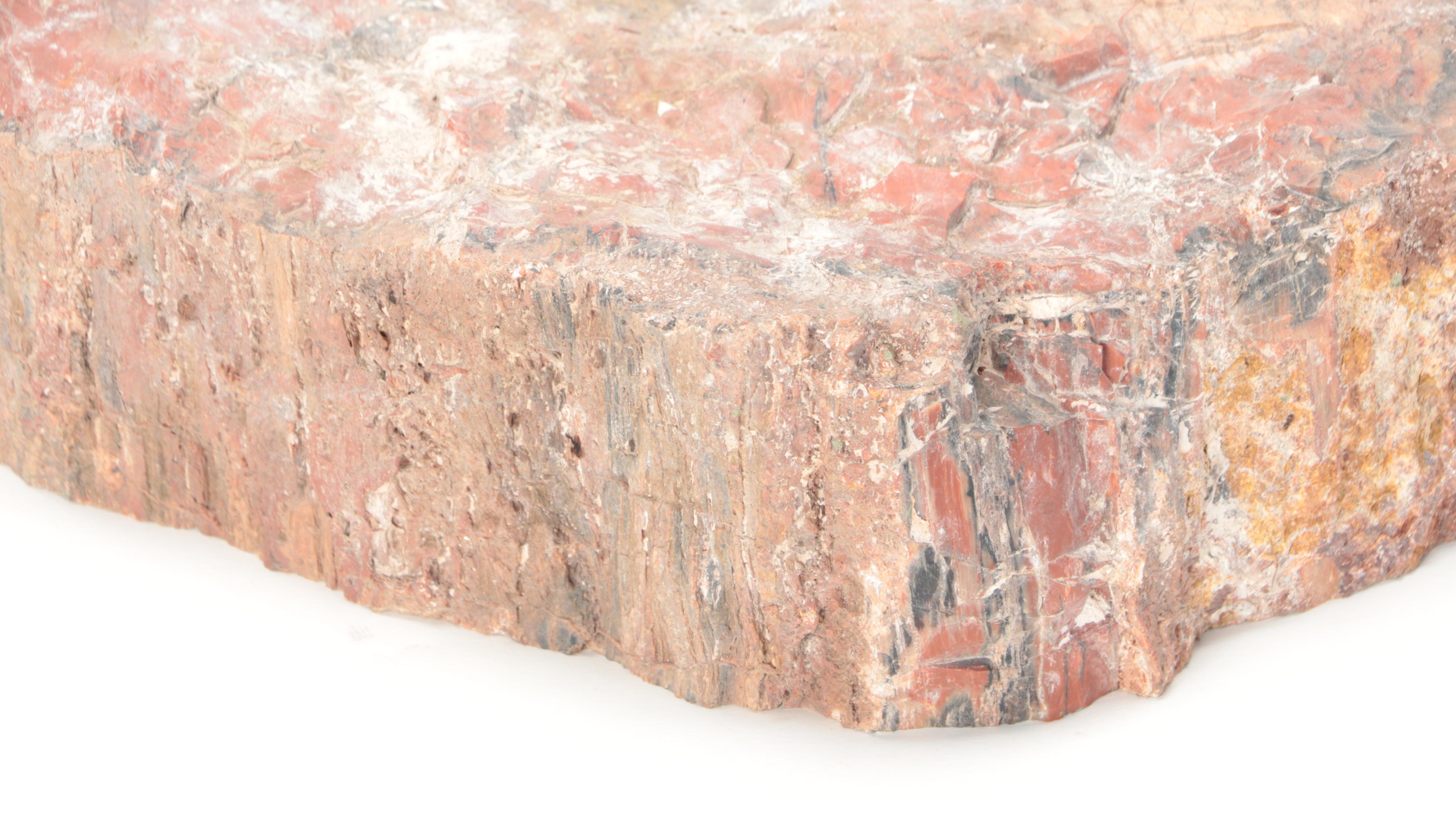 Agatized and Petrified Wood Slab
