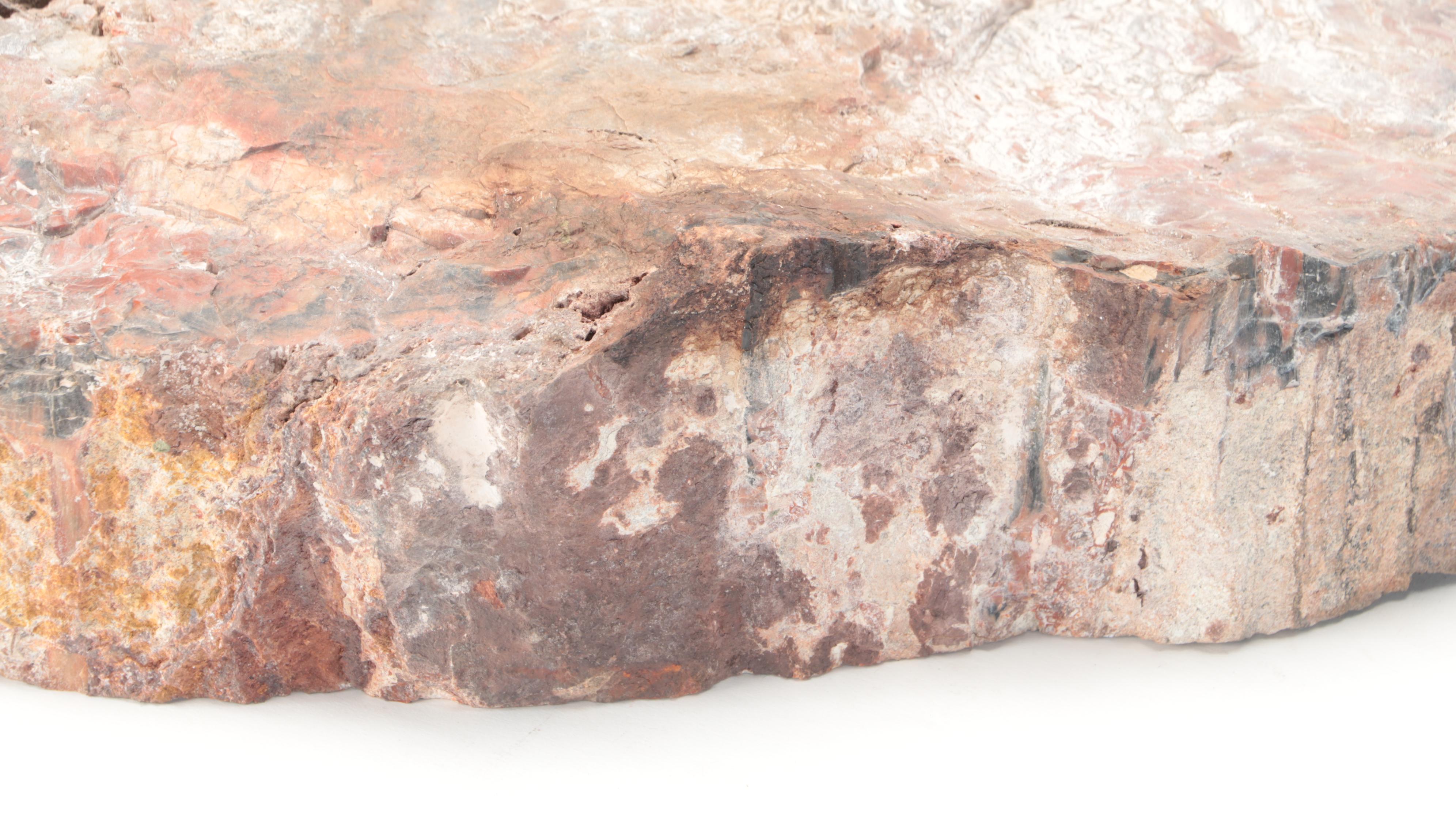 Agatized and Petrified Wood Slab