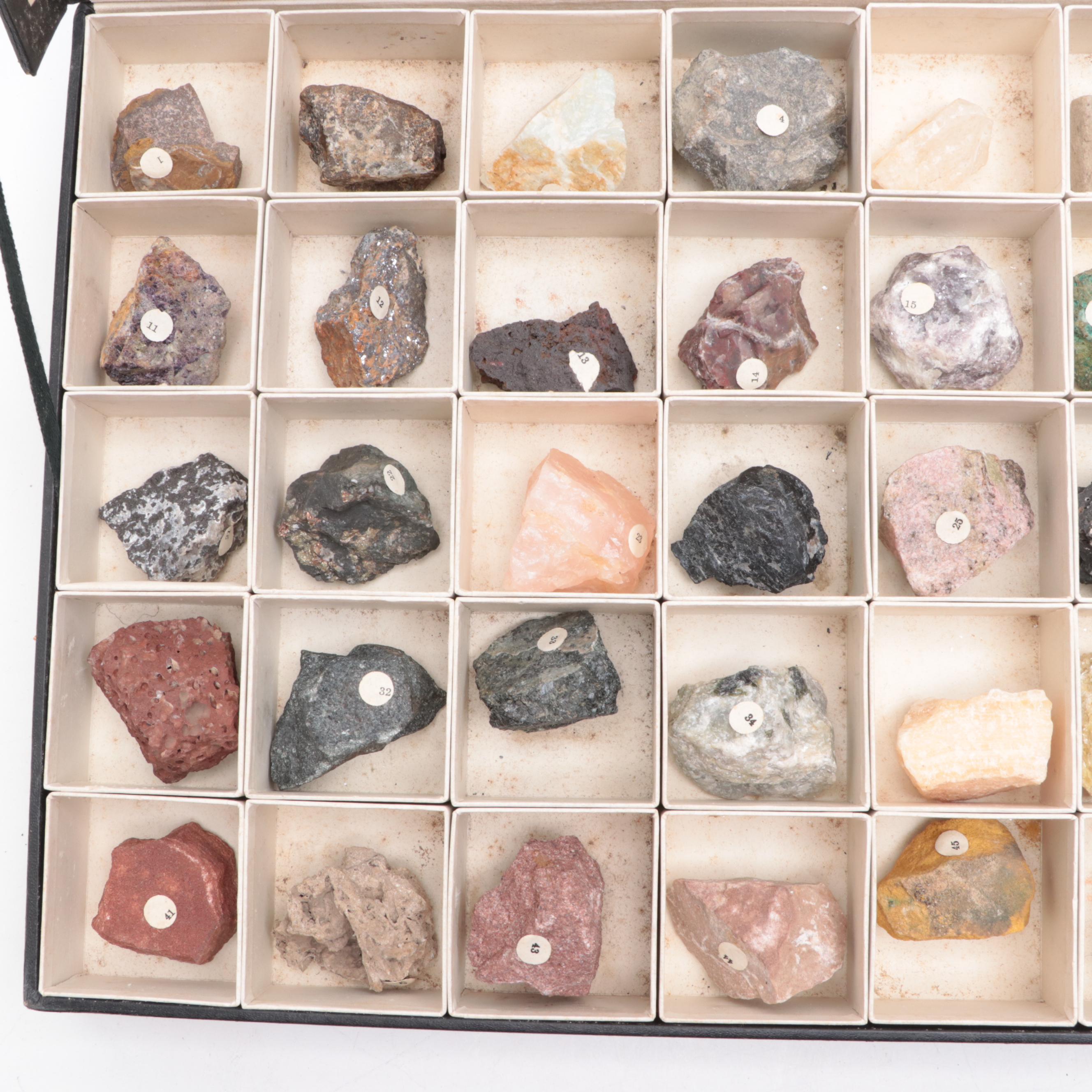 W.M. Welch Scientific Co. Rock and Mineral School Collection Display Case