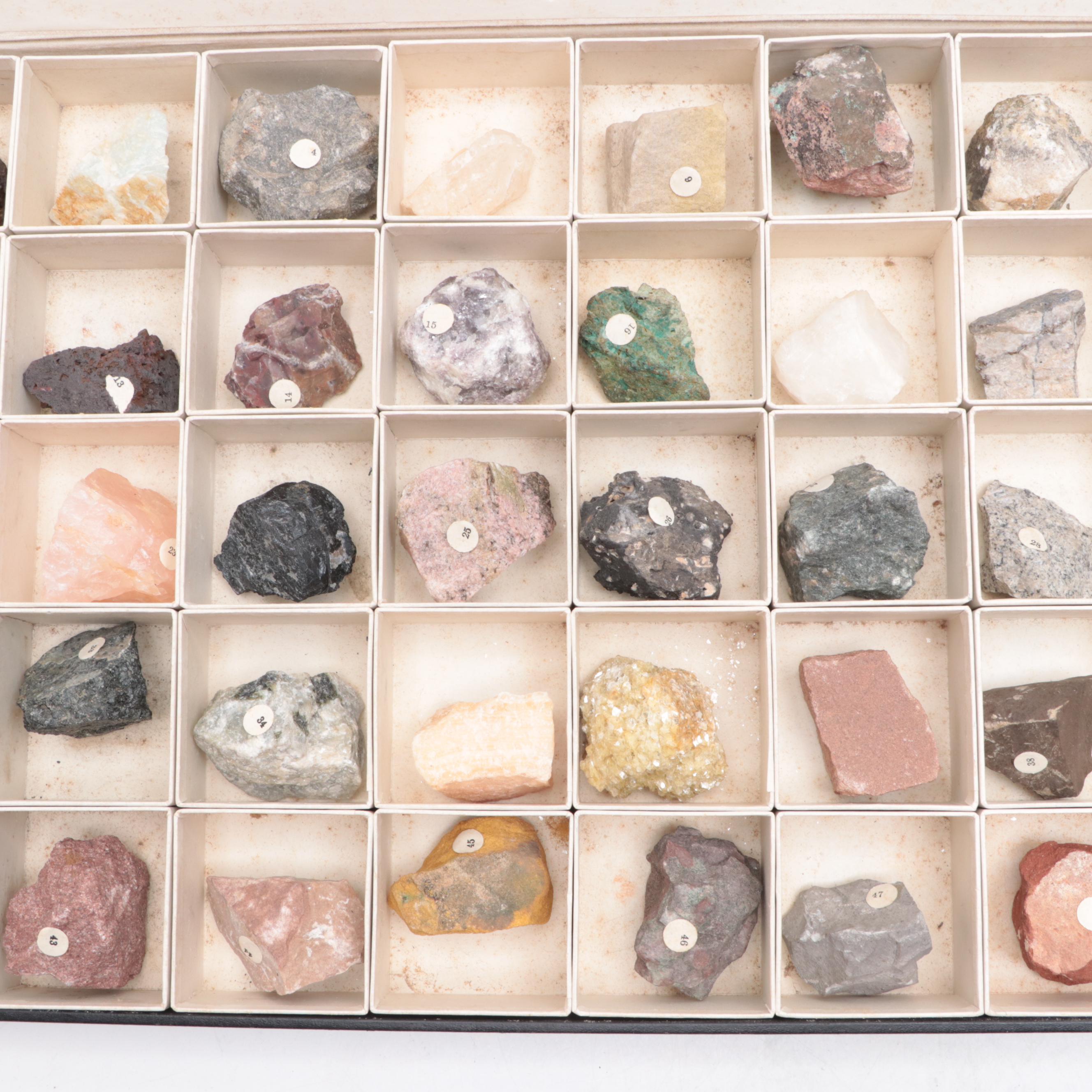 W.M. Welch Scientific Co. Rock and Mineral School Collection Display Case
