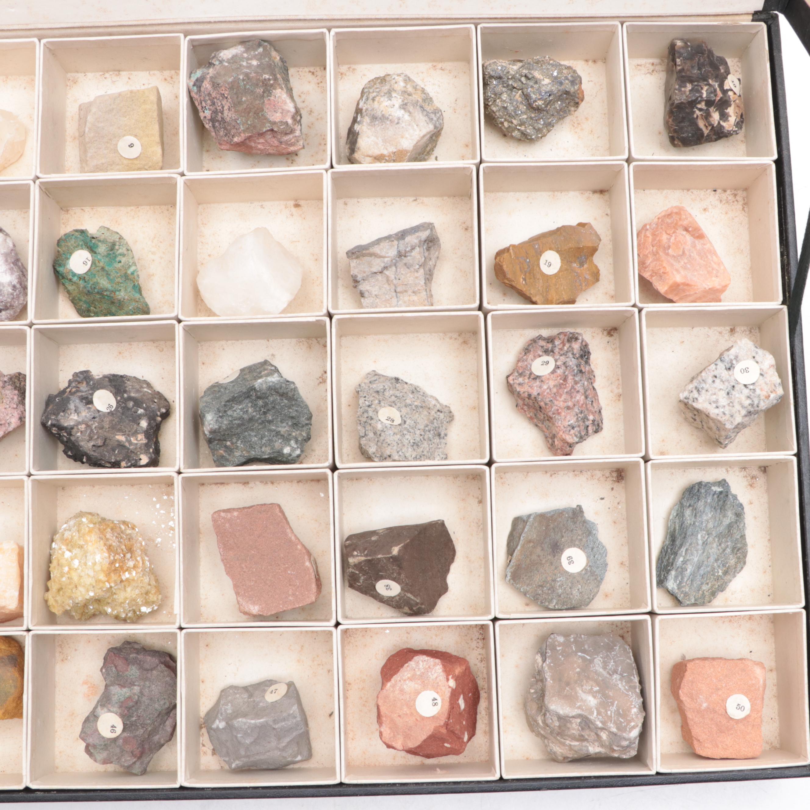 W.M. Welch Scientific Co. Rock and Mineral School Collection Display Case