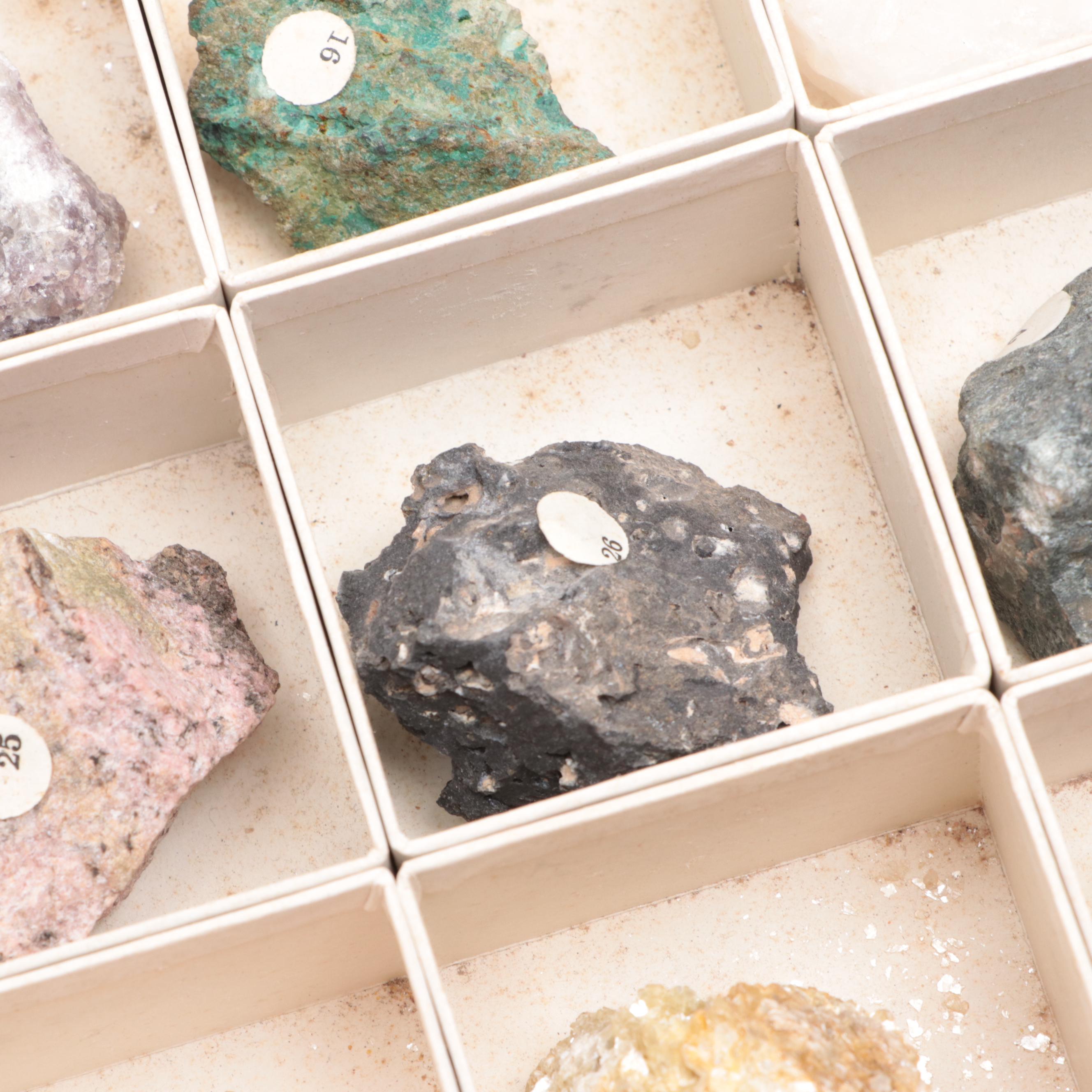 W.M. Welch Scientific Co. Rock and Mineral School Collection Display Case