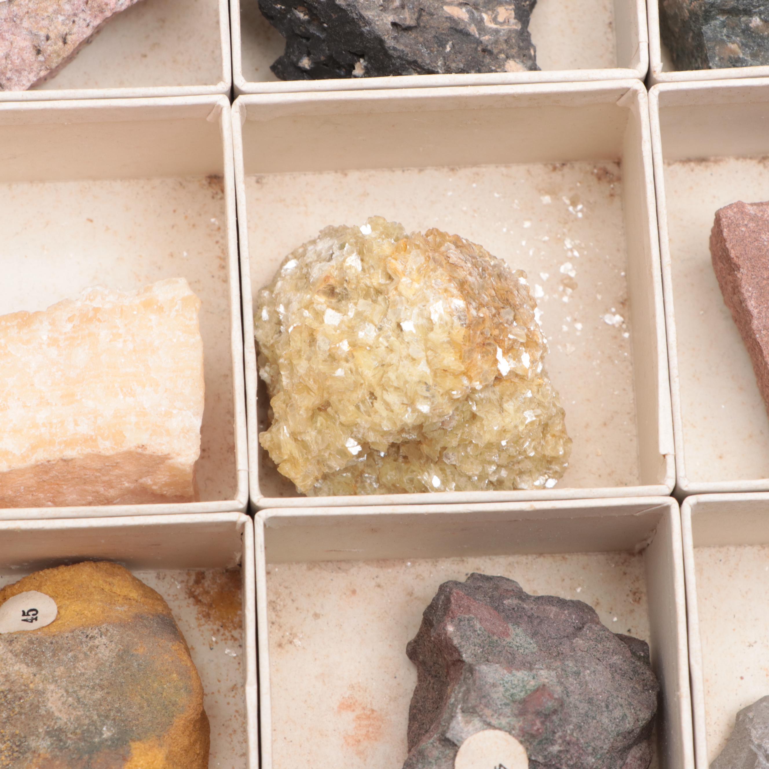 W.M. Welch Scientific Co. Rock and Mineral School Collection Display Case