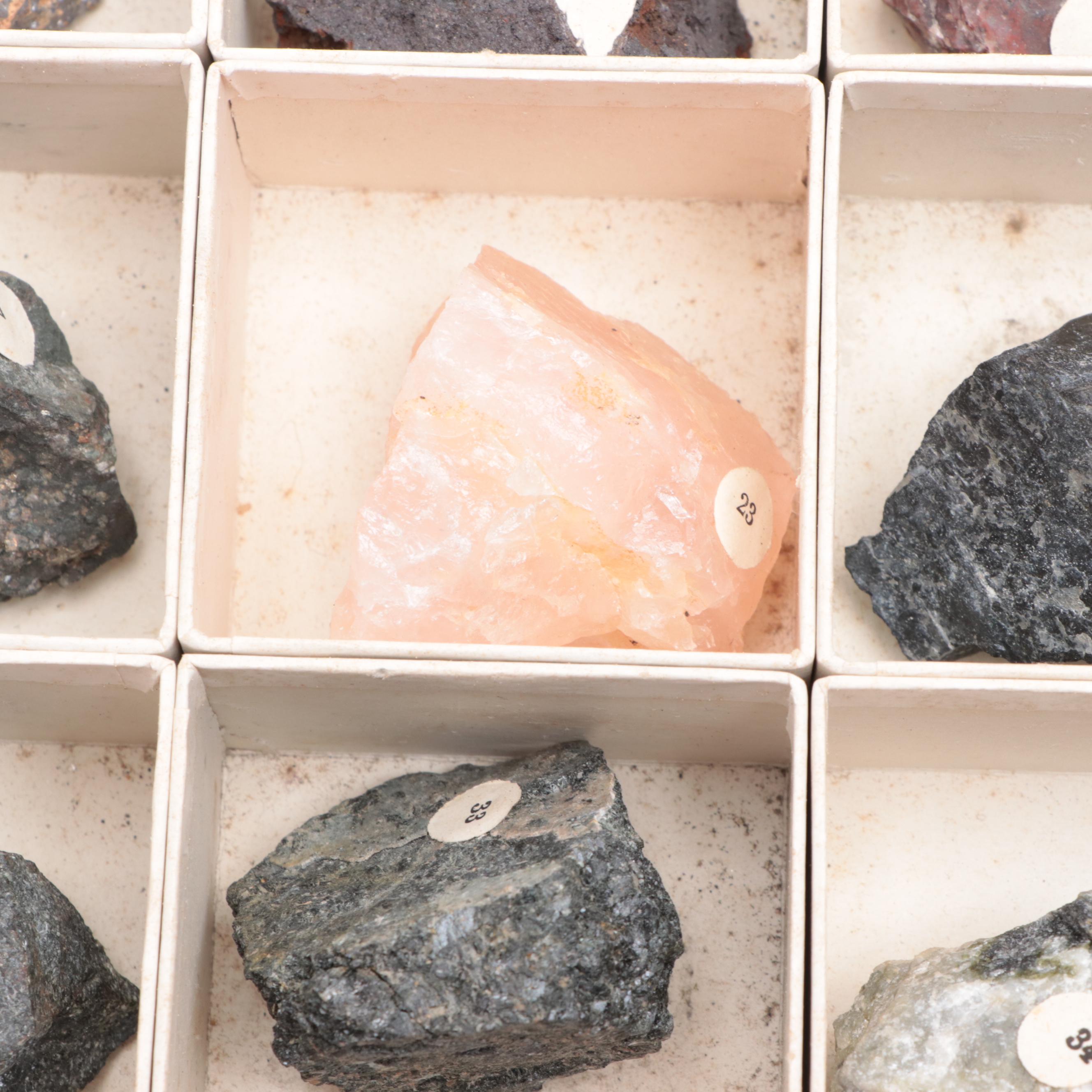 W.M. Welch Scientific Co. Rock and Mineral School Collection Display Case