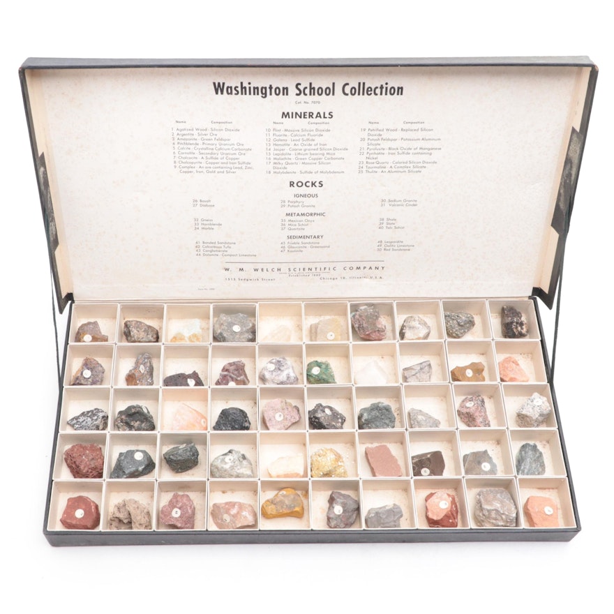 W.M. Welch Scientific Co. Rock and Mineral School Collection Display Case