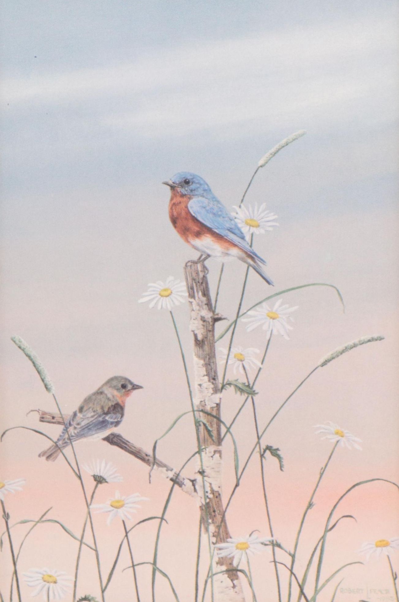 Offset Lithograph After Robert Leland Pence "Bluebirds and Daisies"