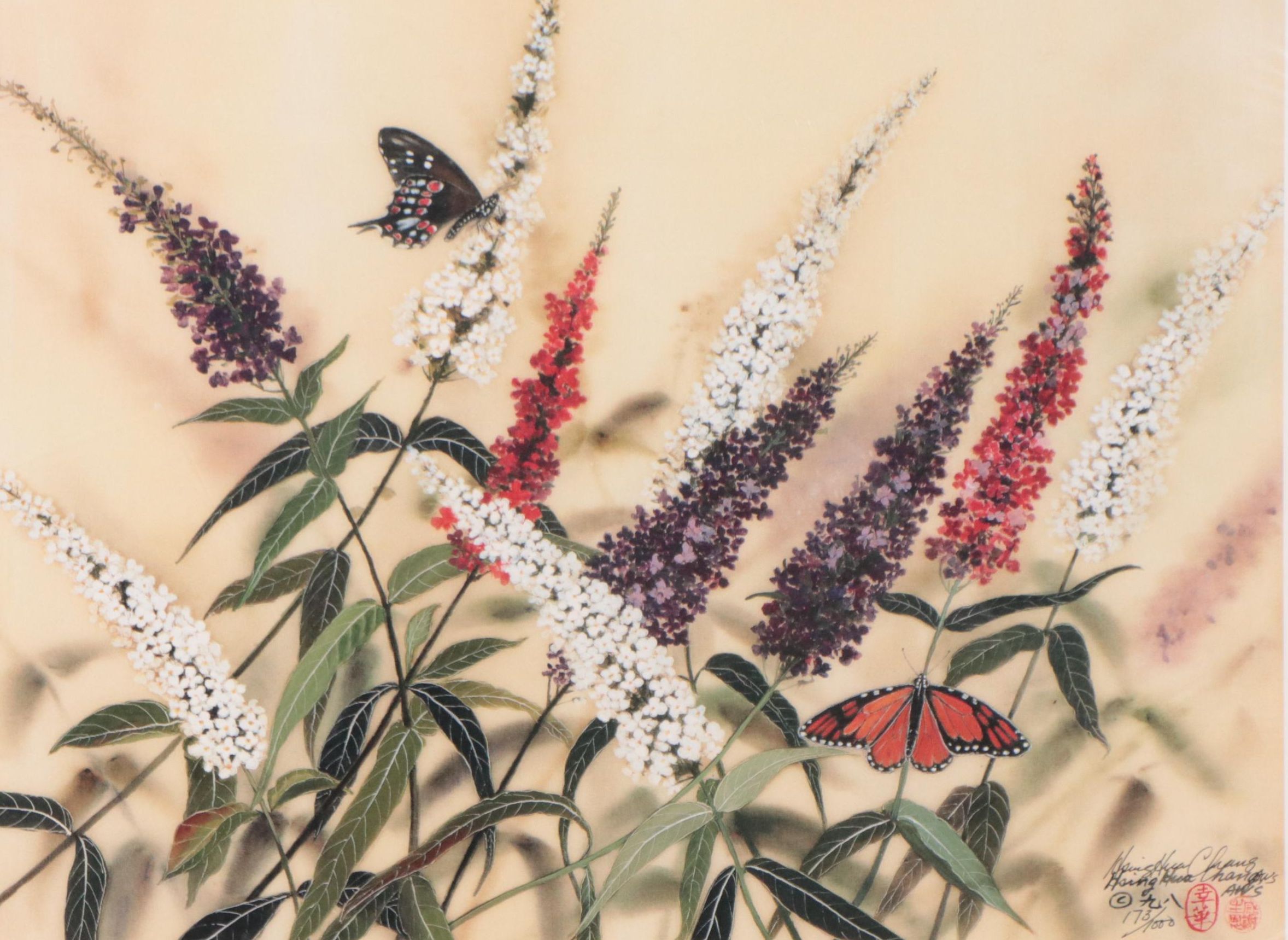 Hsing Hua Chang Offset Lithograph of Lupine Flowers, Late 20th Century