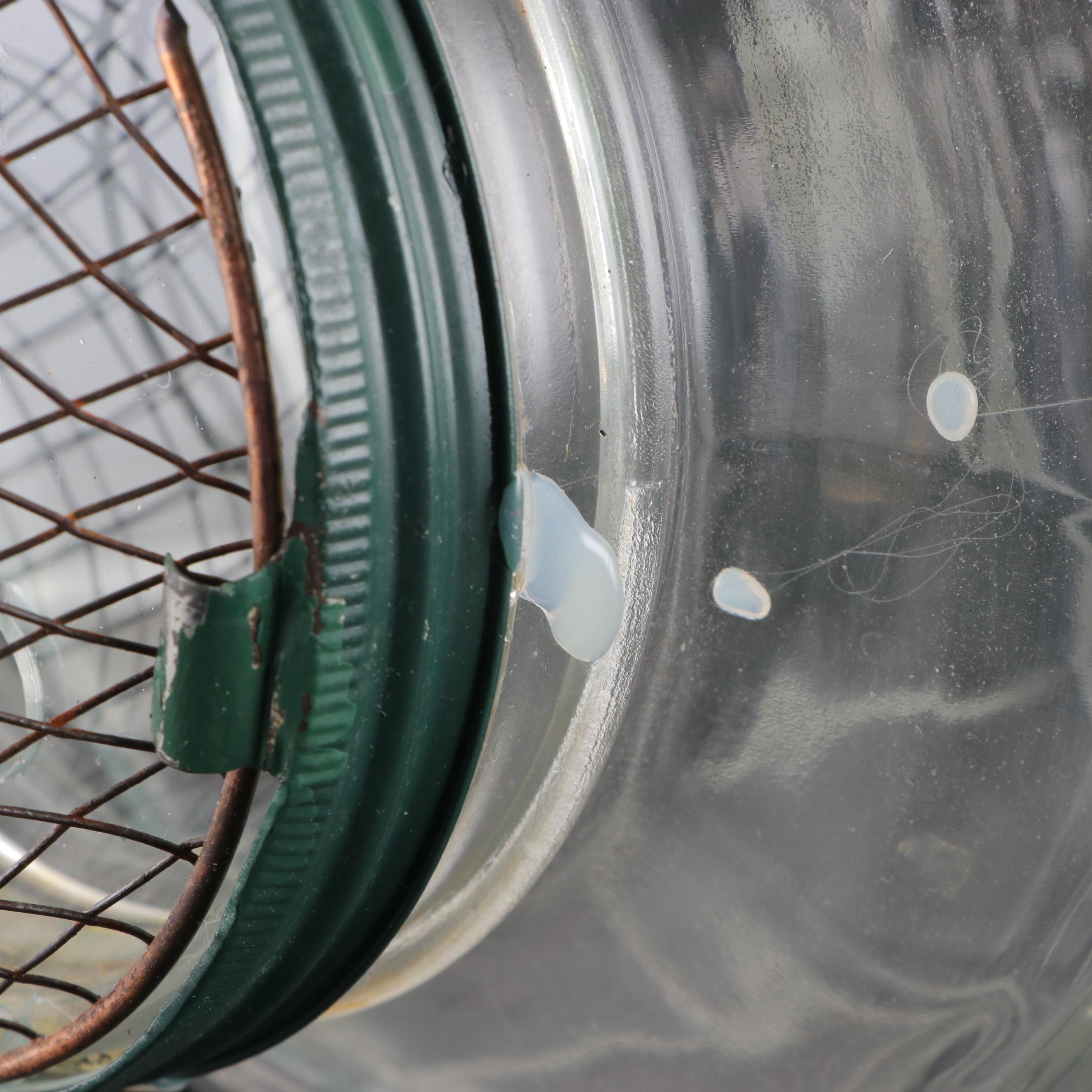 Glass Barrel Jar Minnow Trap with Wire Stand