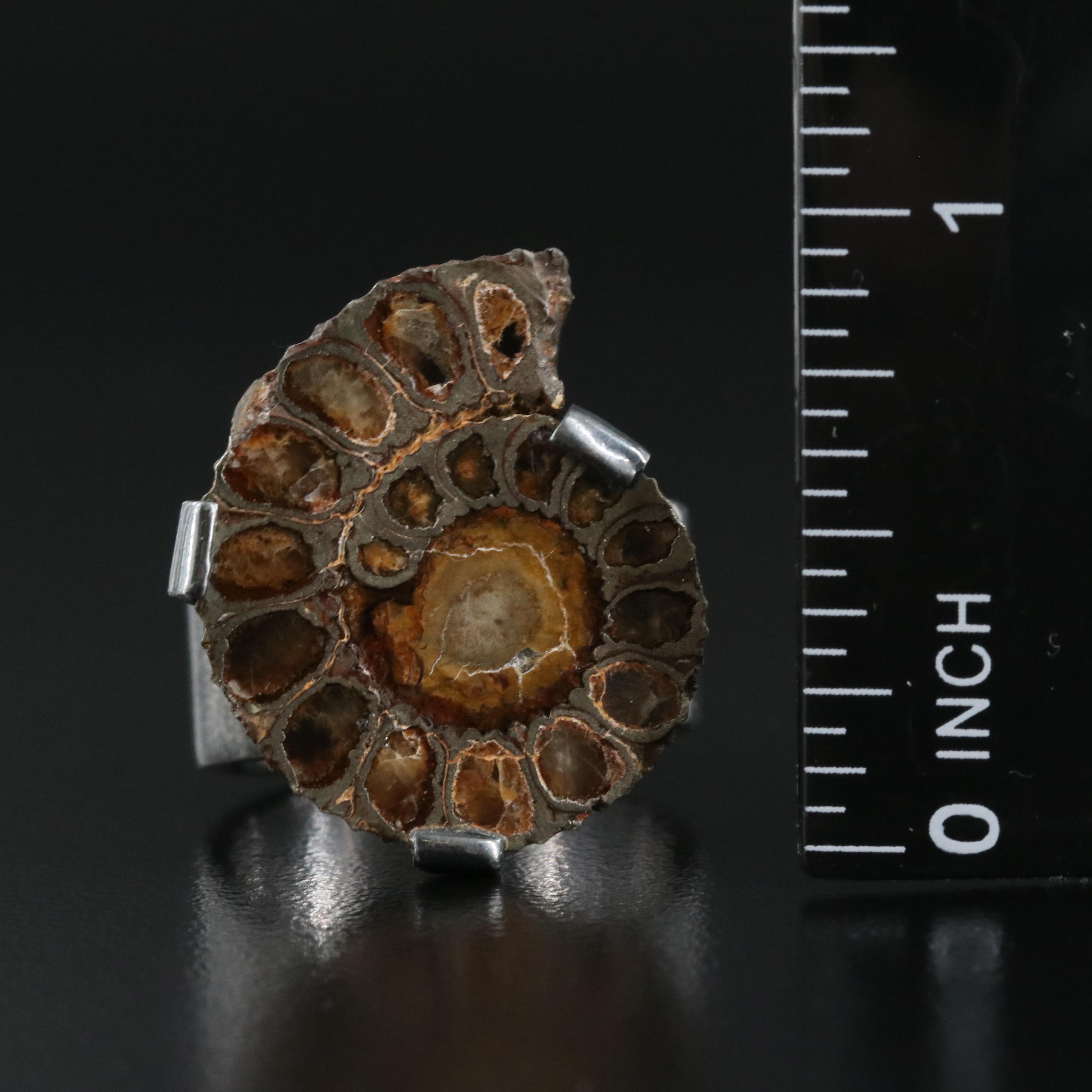 Sterling Ring and Pendant Including Agate and Ammonite