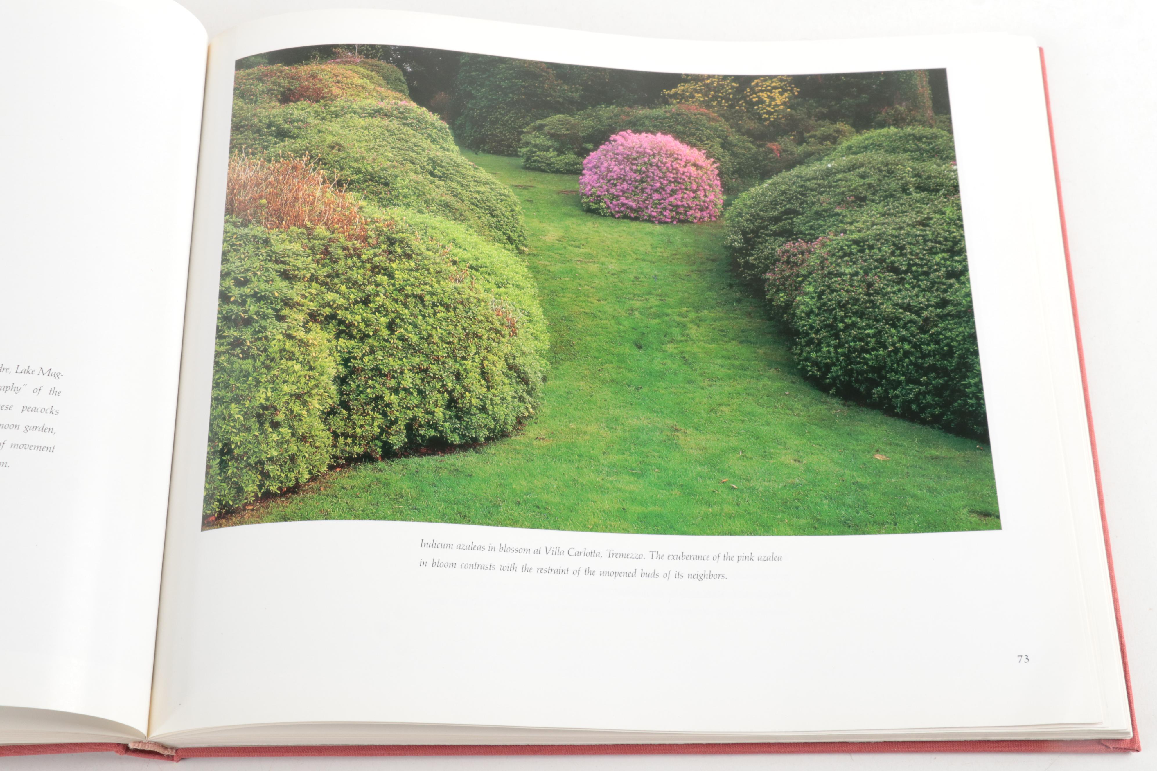 First Edition "Our Mothers: Portraits by 72 Women Photographers" and More