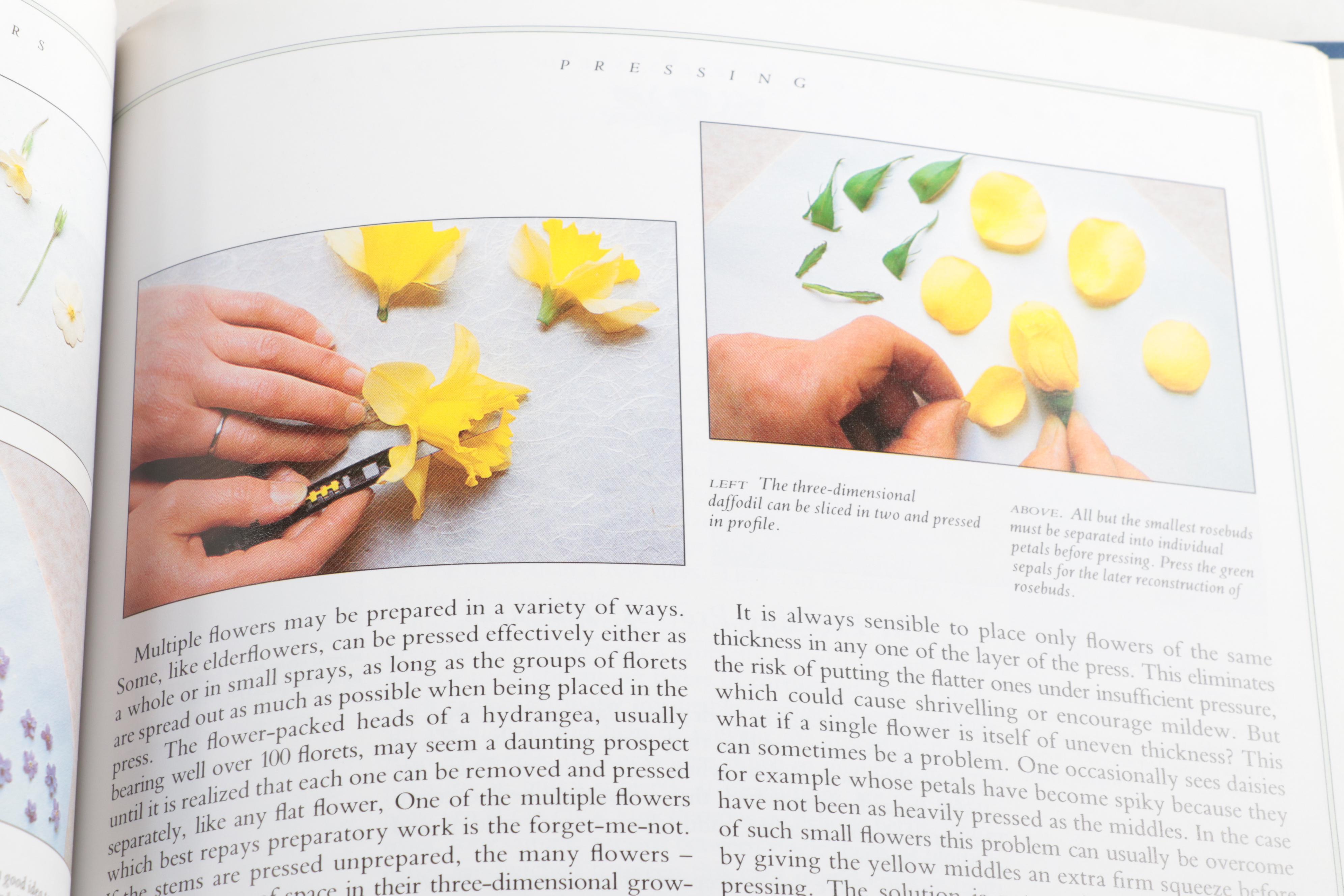 First Edition "The Arts" by Henrik Willem Van Loon and More