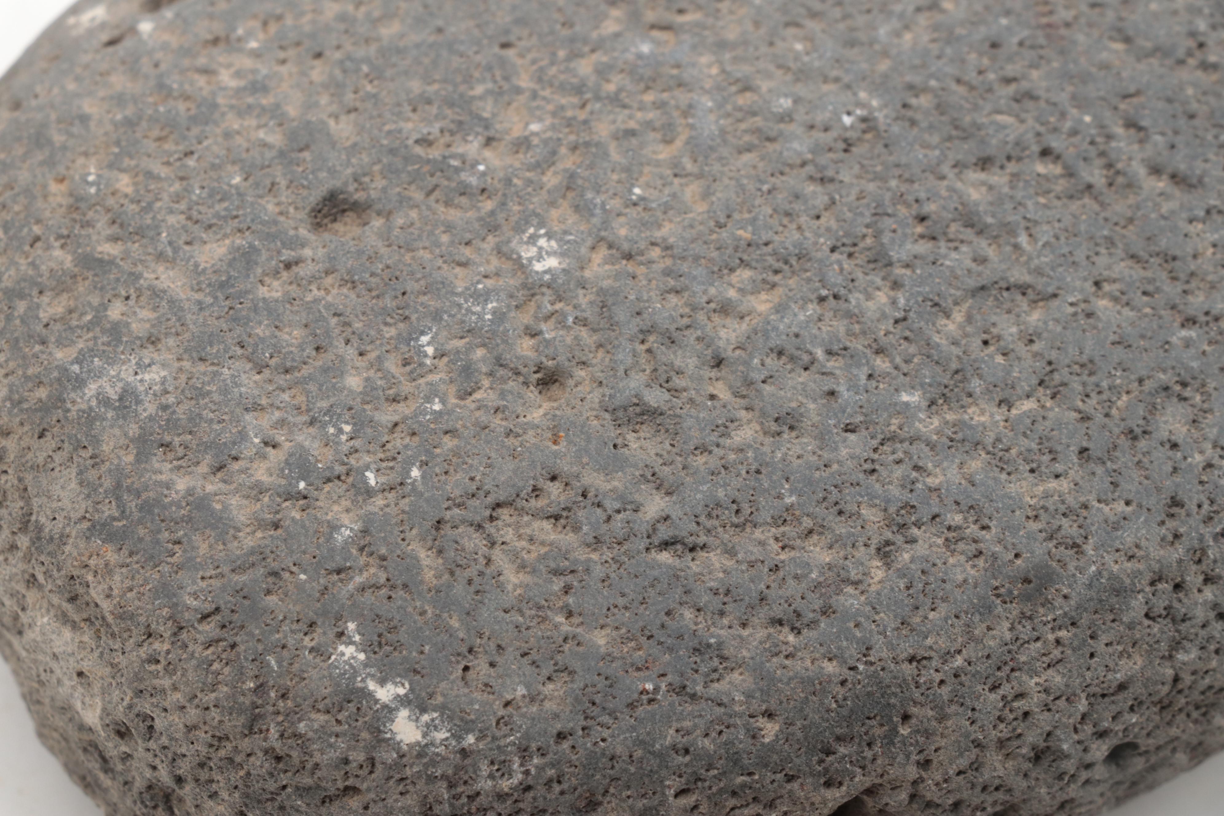 Coprolite and Hammerstone Specimens