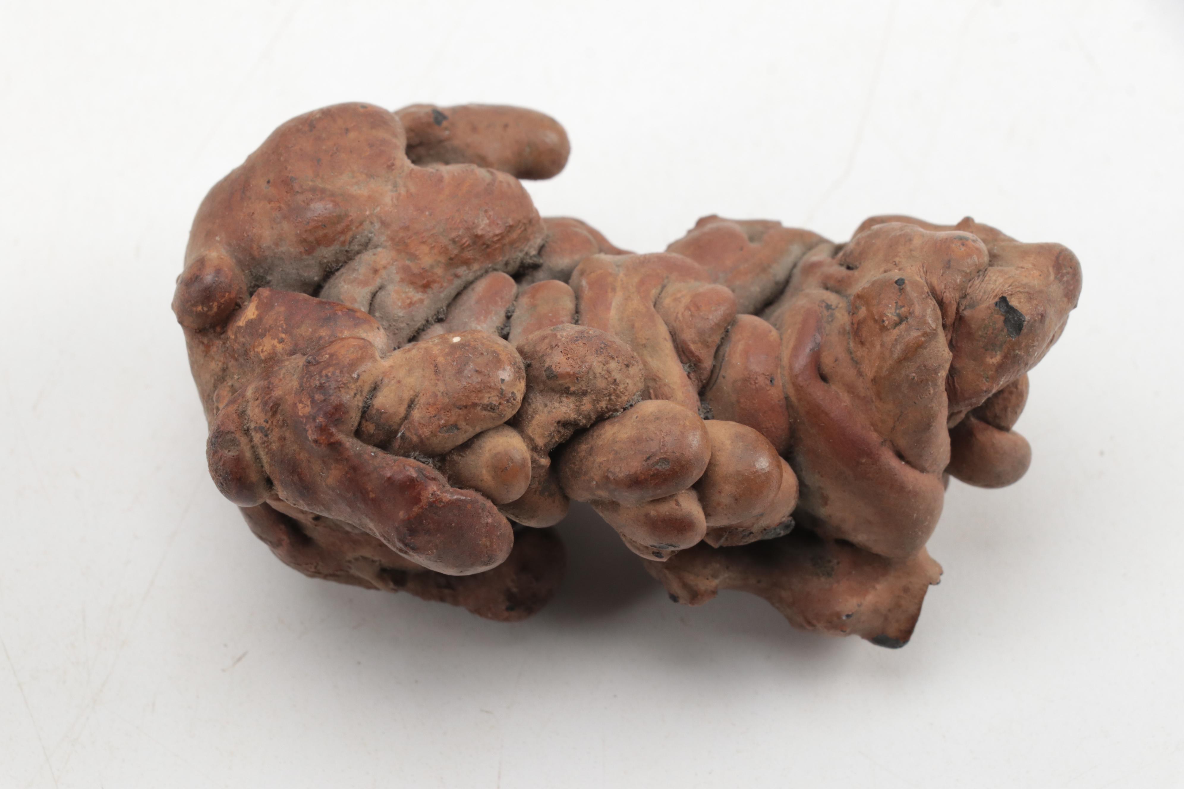 Coprolite and Hammerstone Specimens