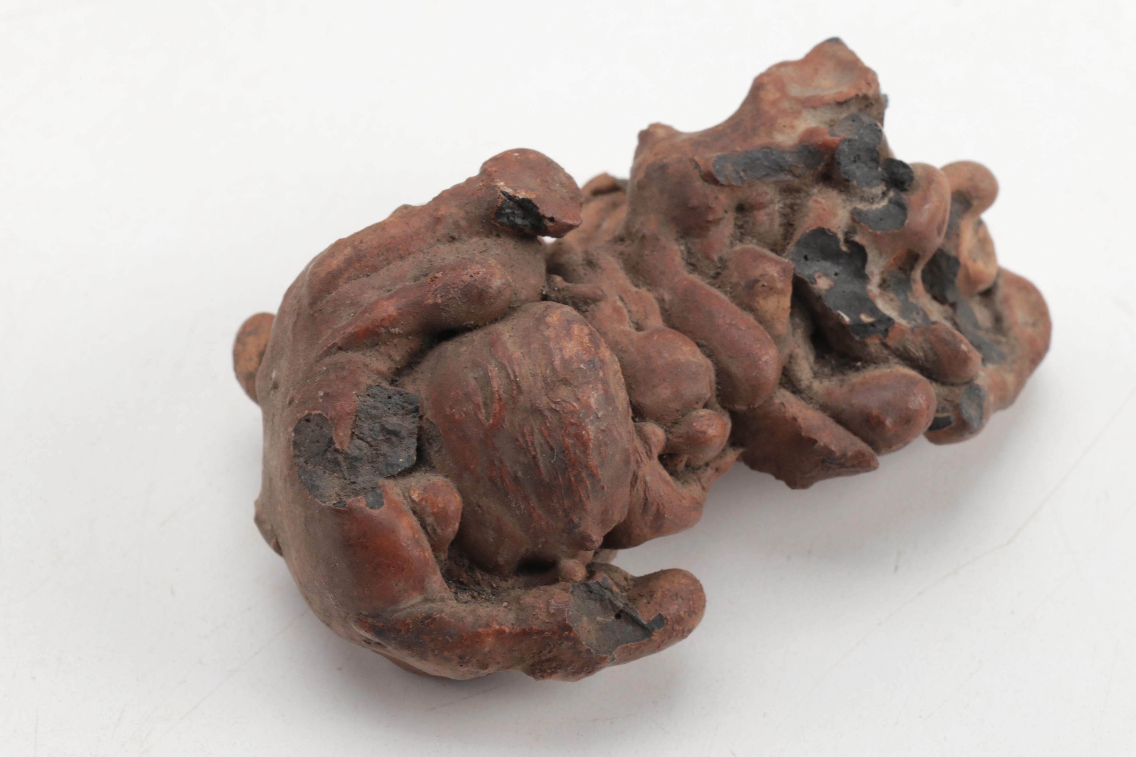 Coprolite and Hammerstone Specimens