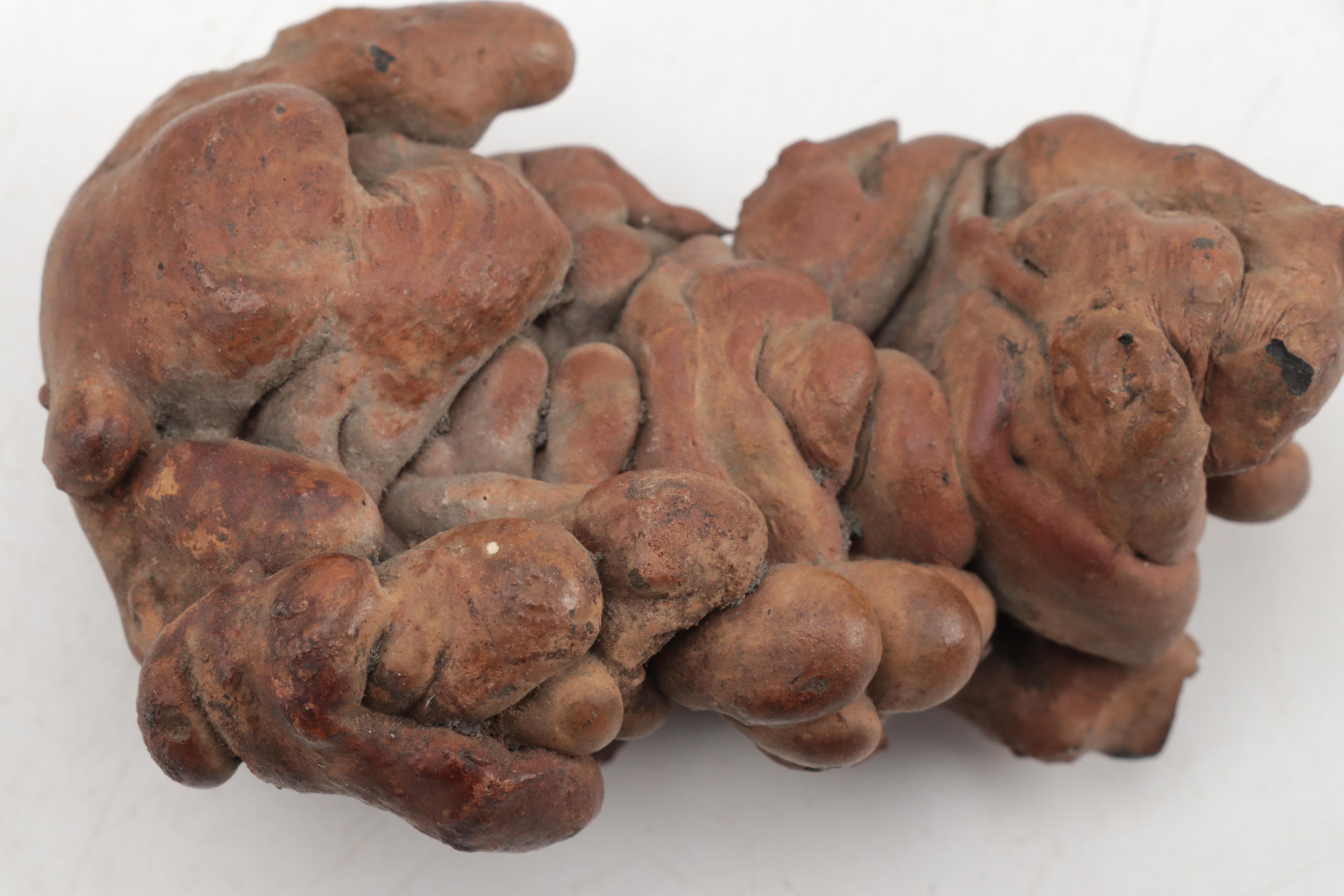 Coprolite and Hammerstone Specimens