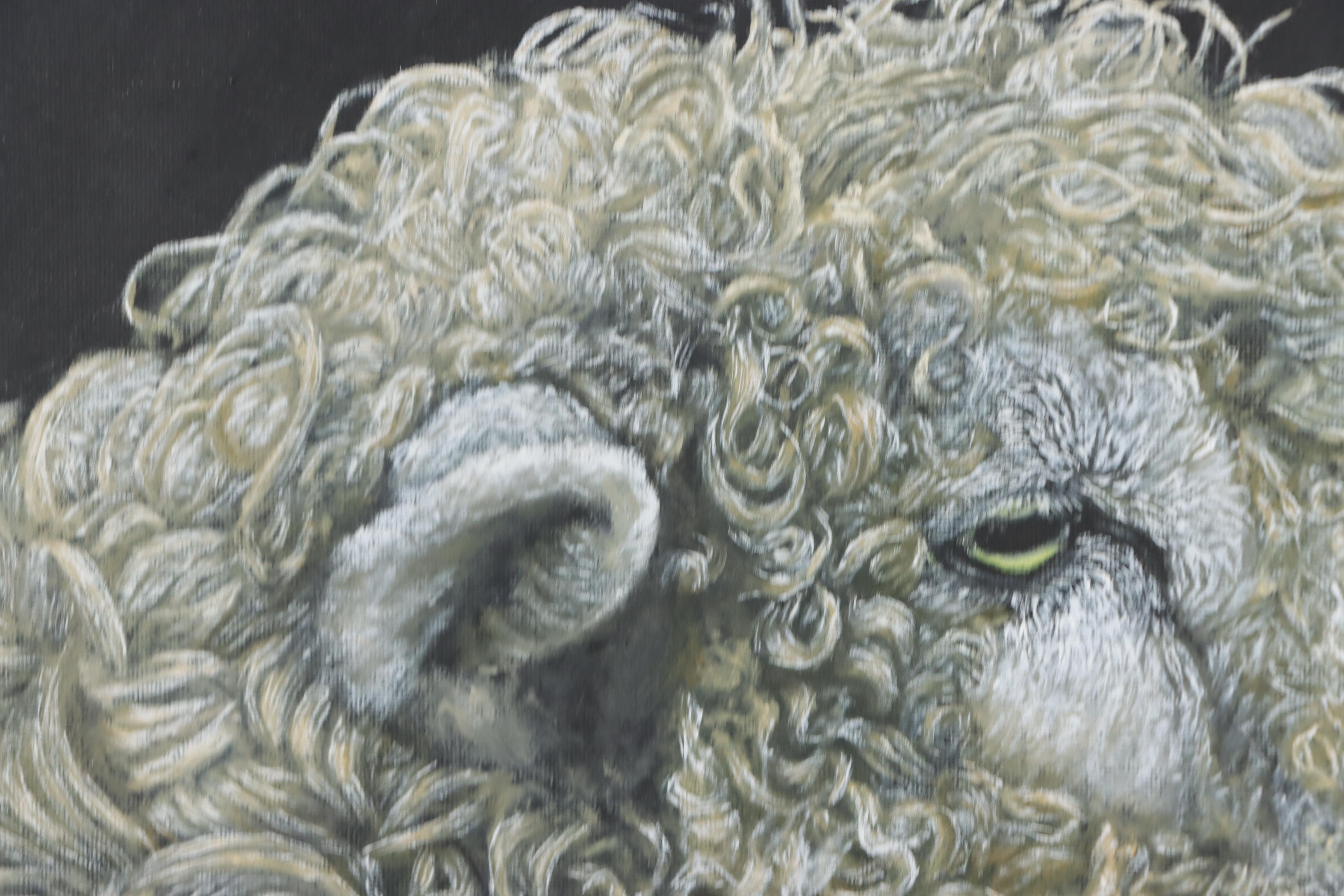 Siân Sloman Oil Painting of Sheep, 2022