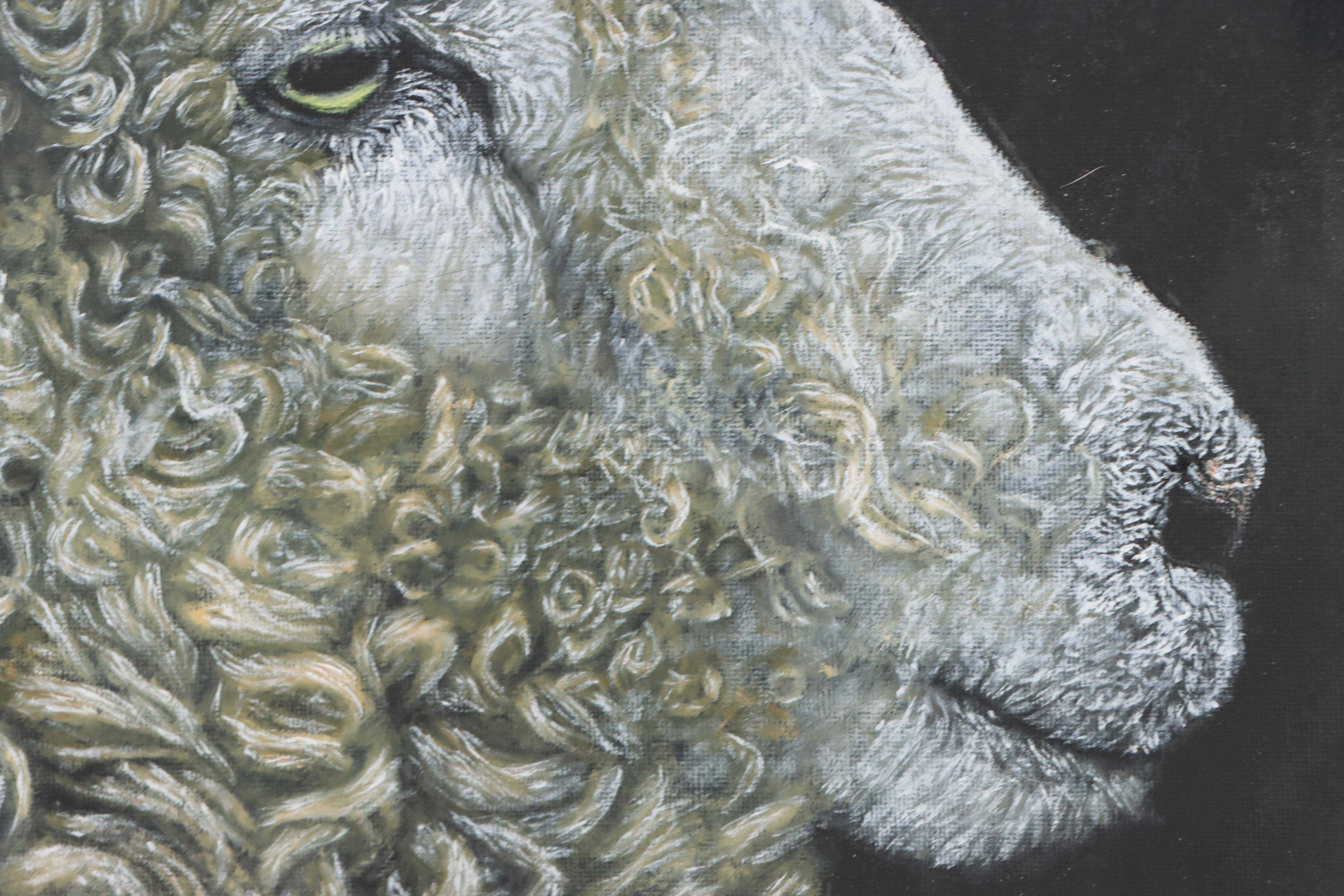Siân Sloman Oil Painting of Sheep, 2022