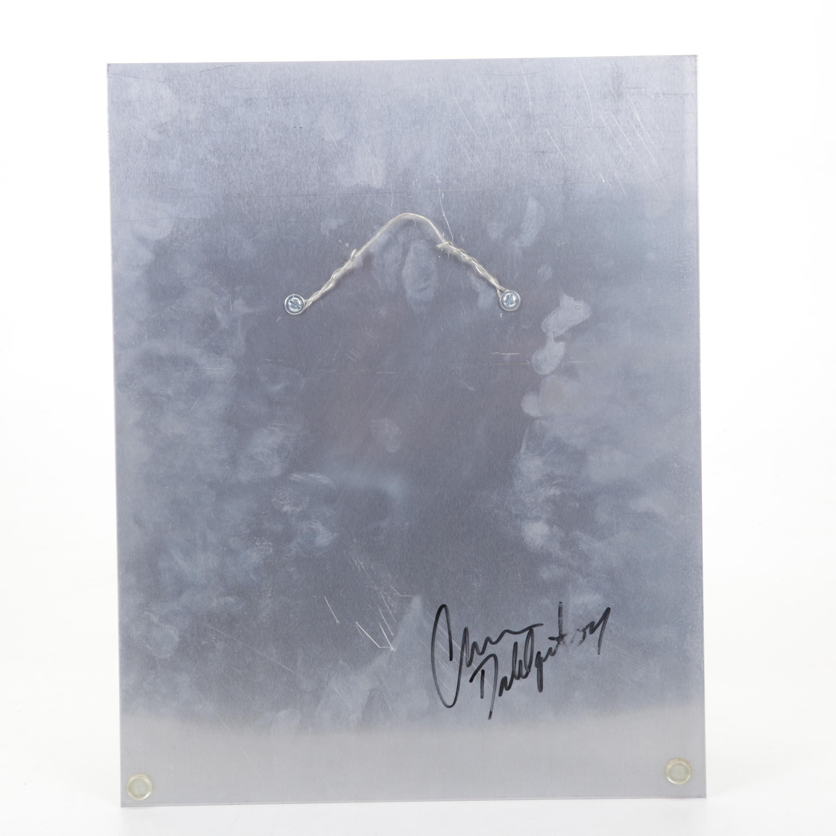 Chris Dahliquist Digital Photograph on Assembled Metal Panels, 2007